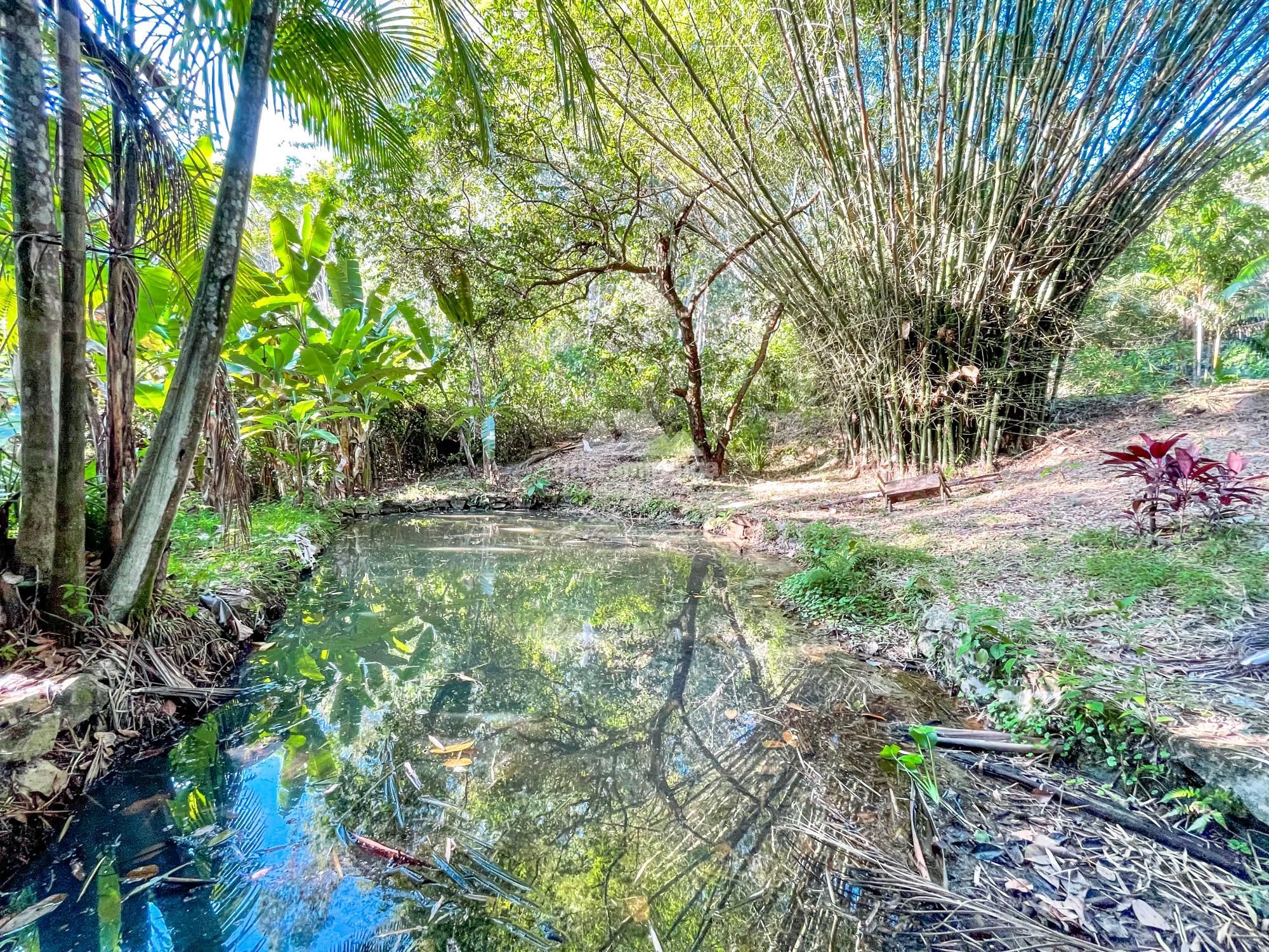 Sítio, 8 quartos, 7 hectares - Foto 12