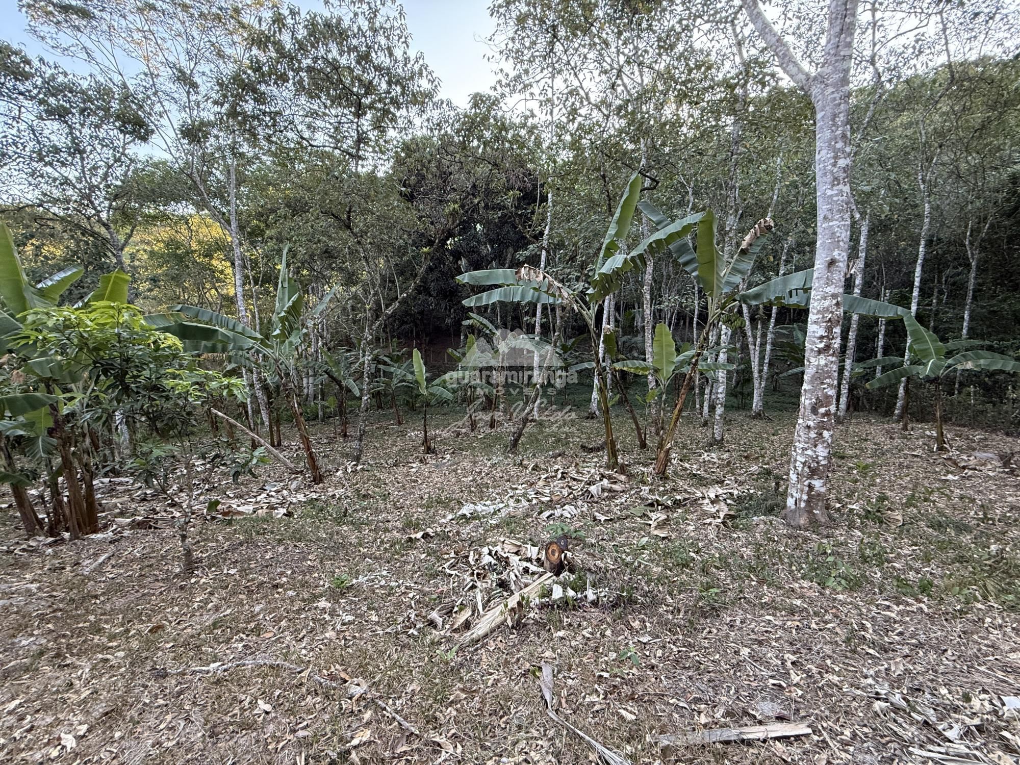 Chácara, 8 quartos, 2 hectares - Foto 51