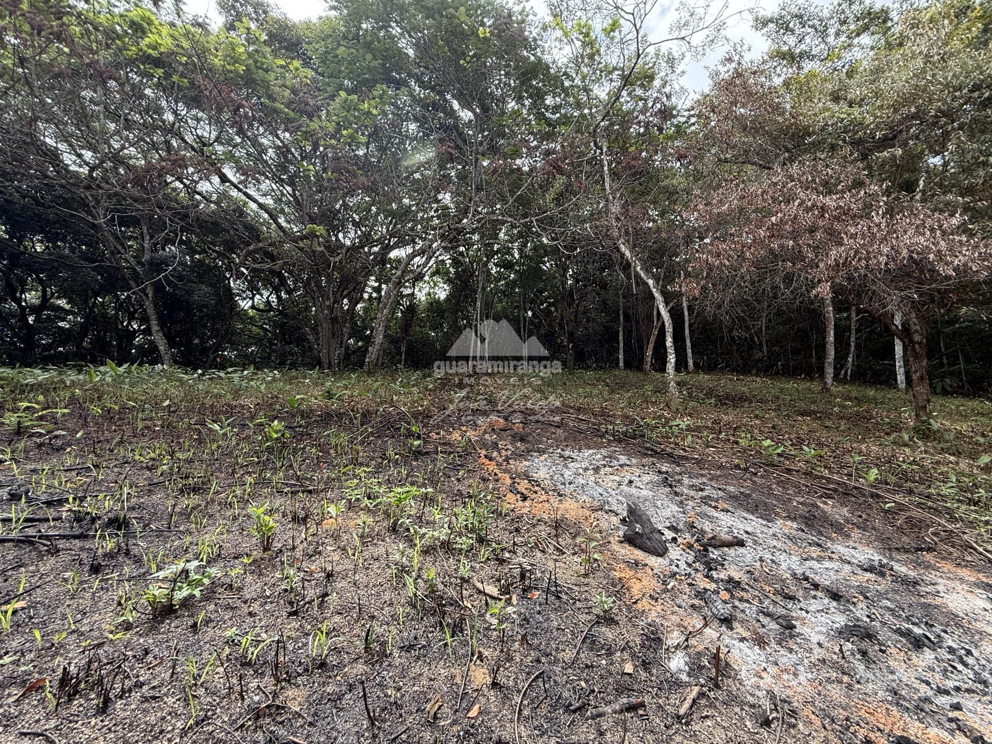 Terreno, 3744 m² - Foto 21