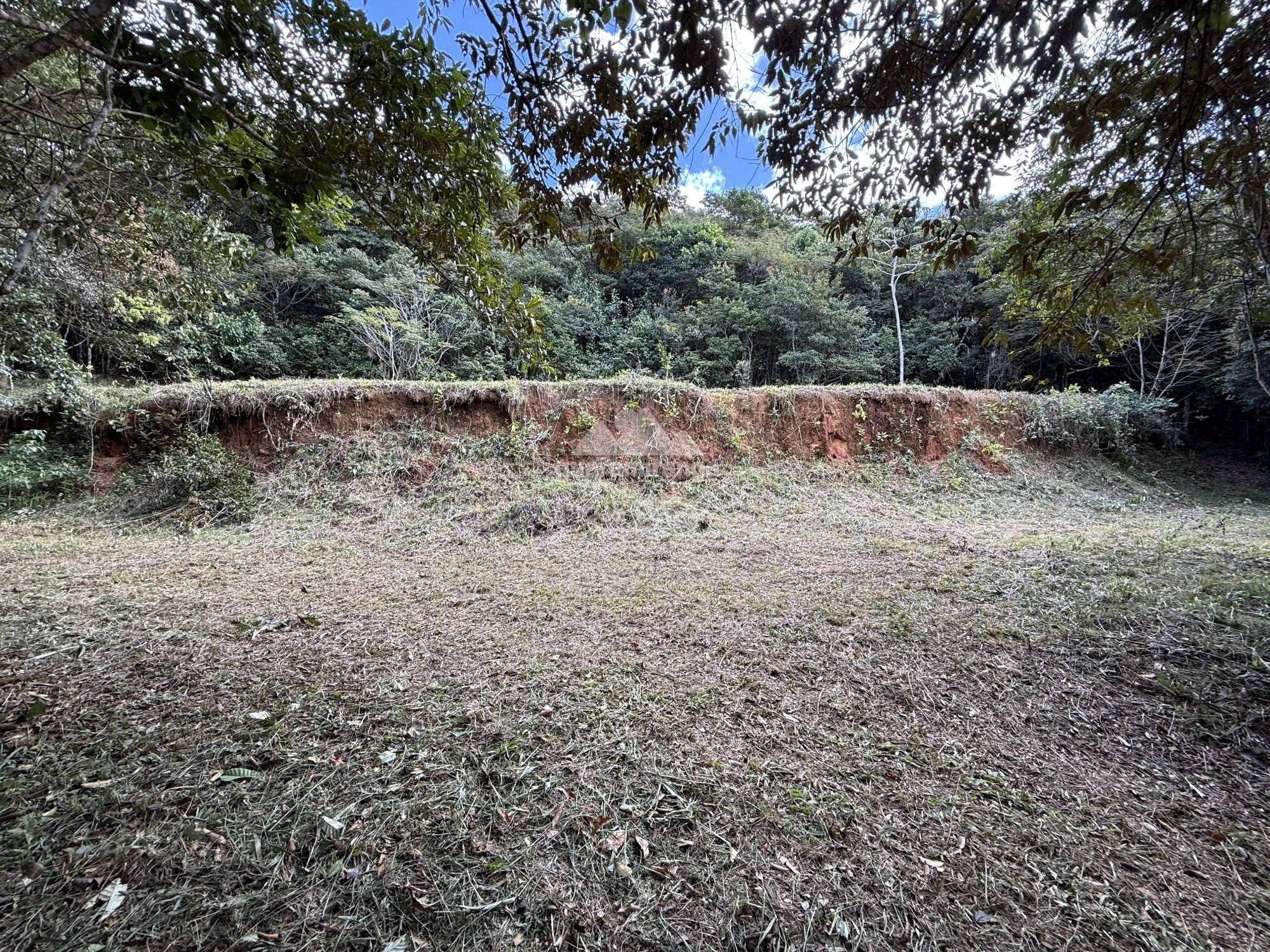 Terreno, 2 hectares - Foto 13