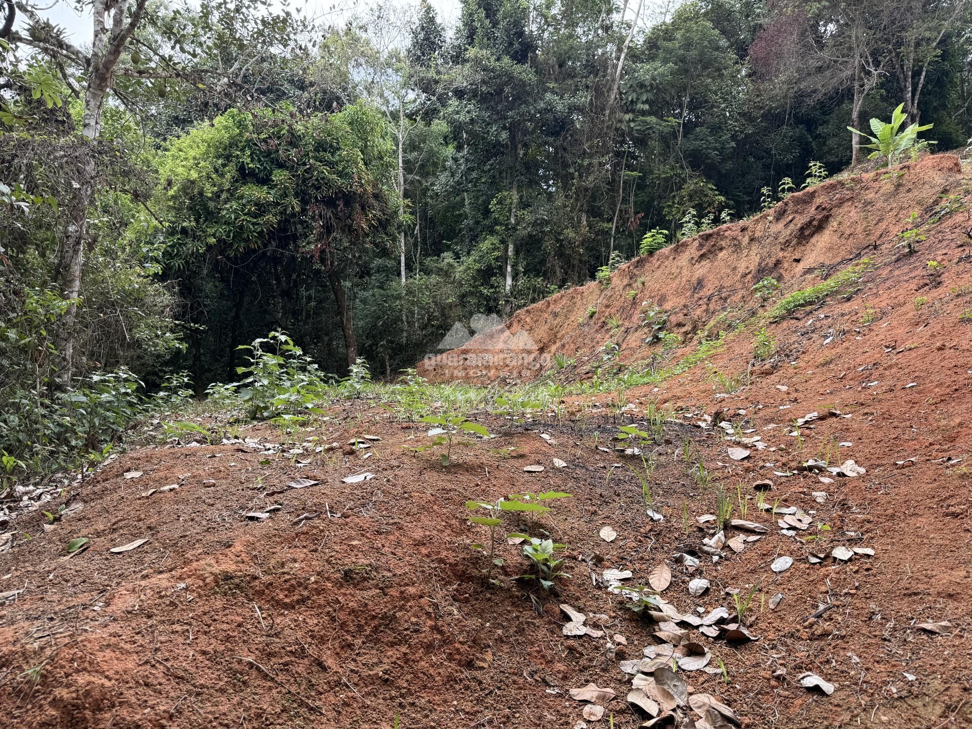 Terreno, 3744 m² - Foto 13