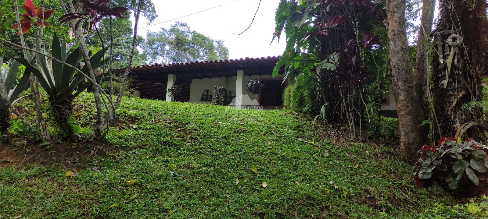 Sítio, 12 quartos, 60 hectares - Foto 13