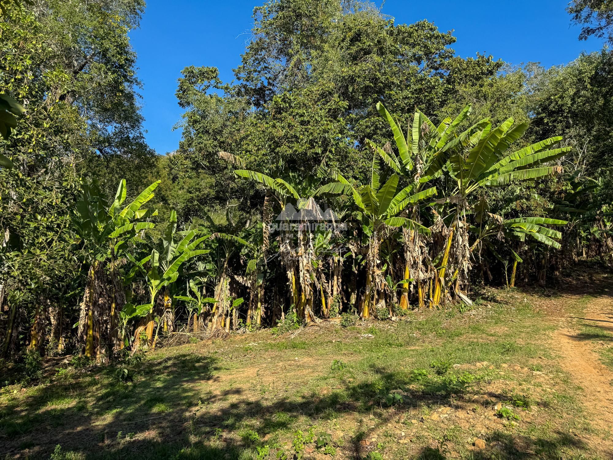 Chácara, 3 quartos, 5 hectares - Foto 15