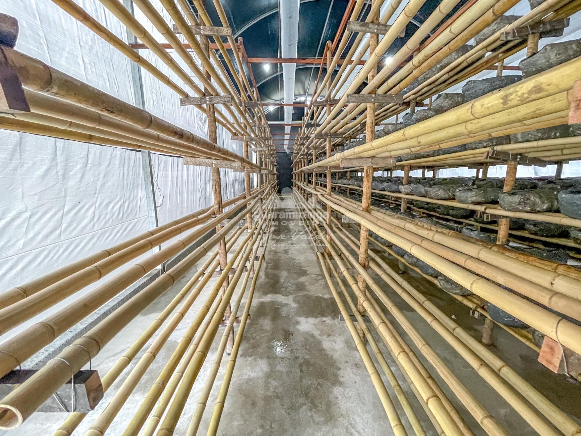 Sítio à venda com 1 quarto, 35000m² - Foto 44
