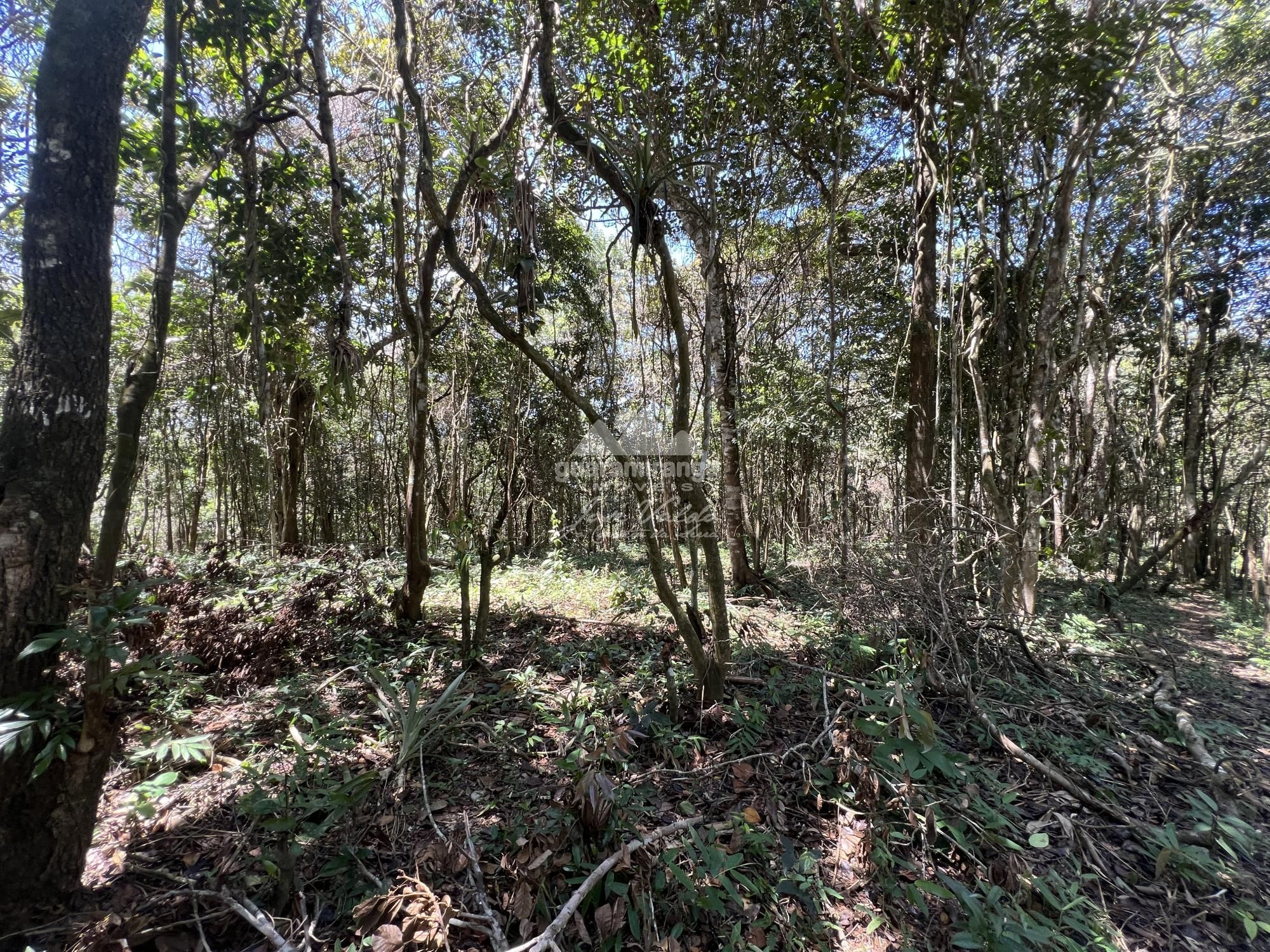 Terreno à venda, 1200m² - Foto 6