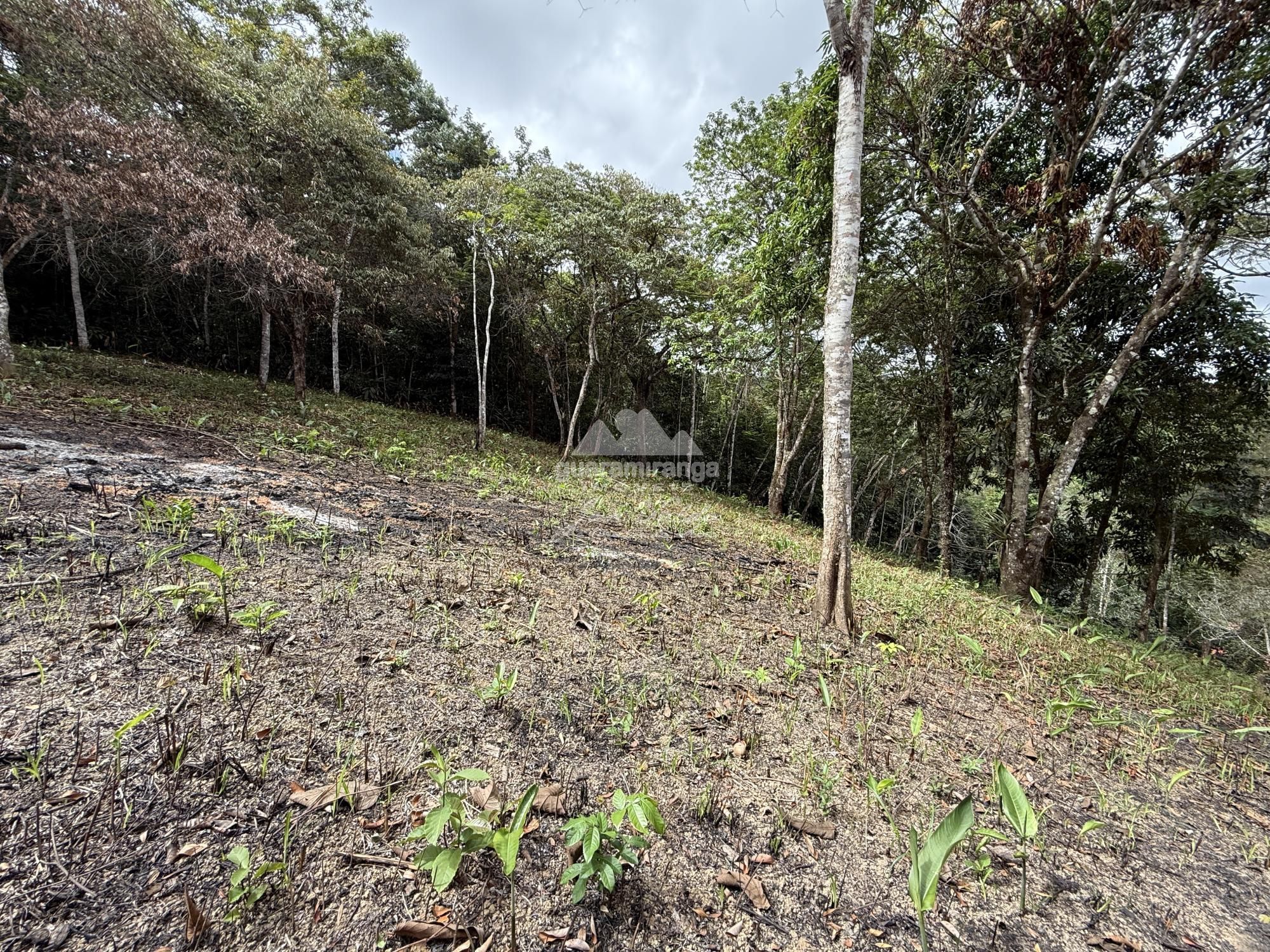 Terreno, 3744 m² - Foto 22