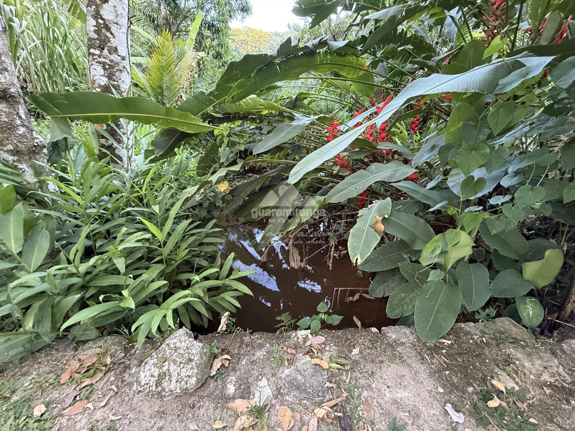 Chácara, 8 quartos, 2 hectares - Foto 39