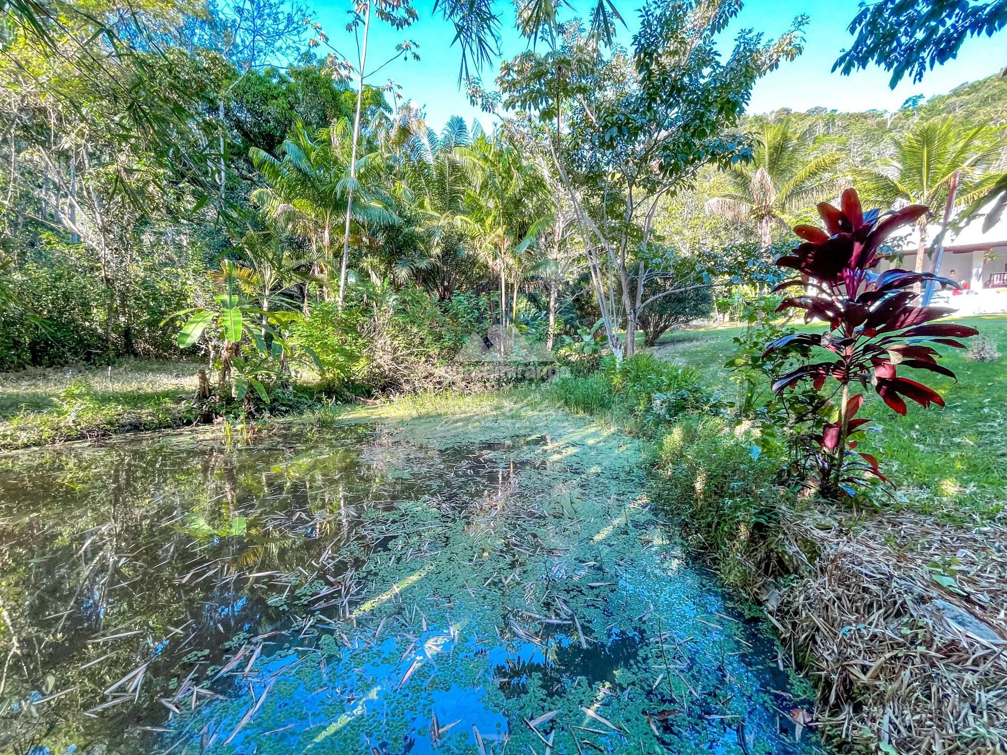 Sítio, 8 quartos, 7 hectares - Foto 13