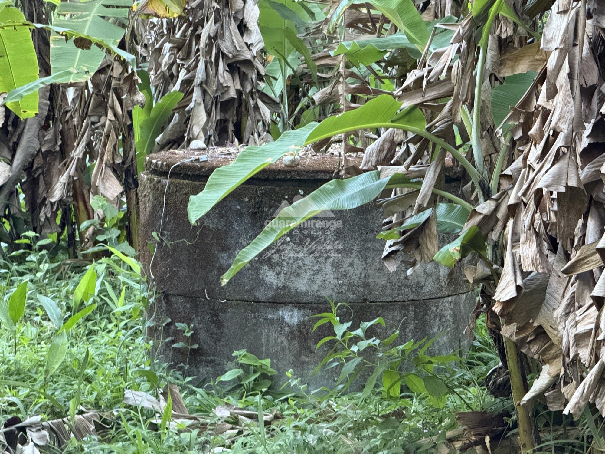 Chácara, 8 quartos, 2 hectares - Foto 41