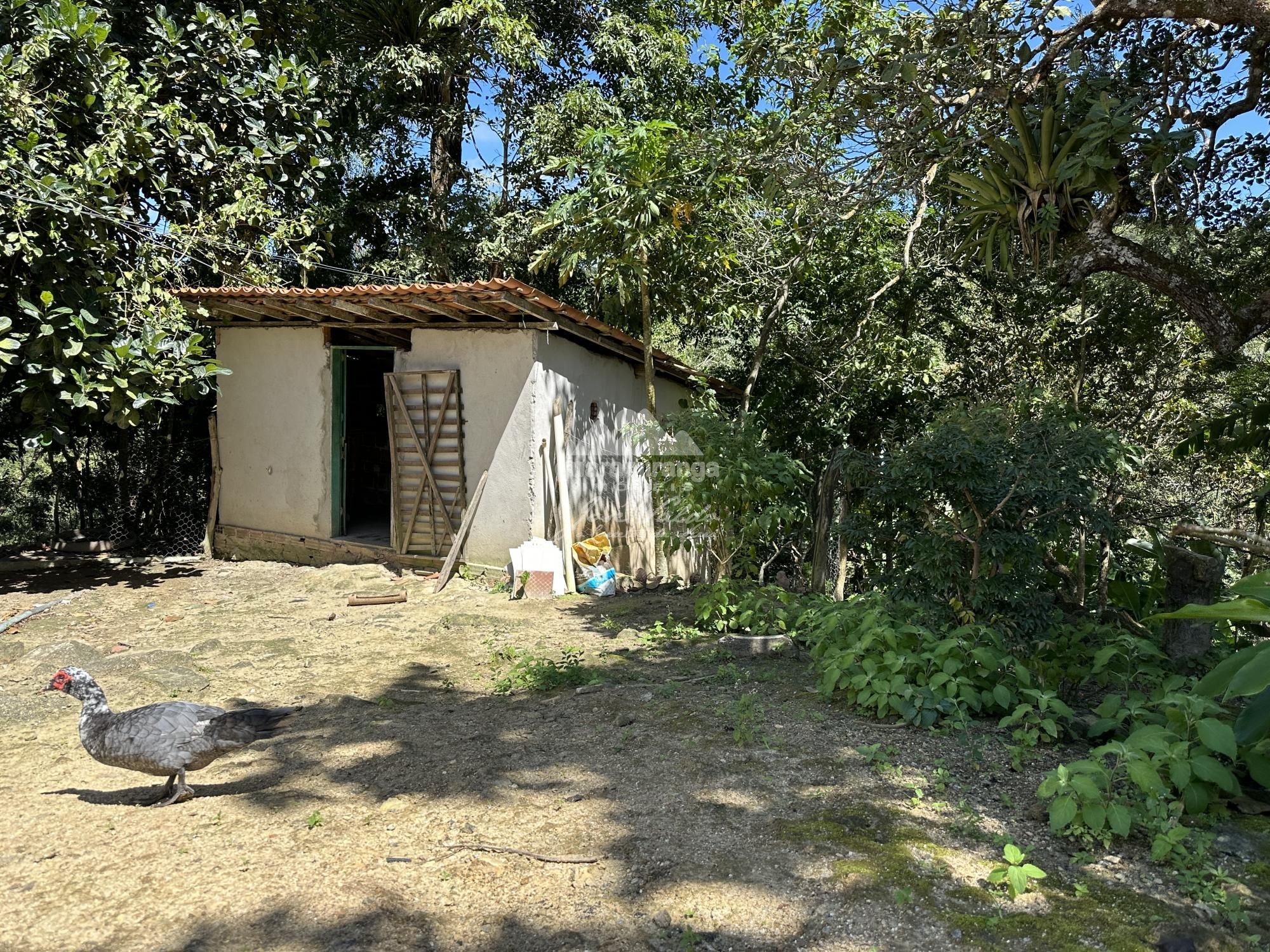 Sítio, 4 quartos, 22 hectares - Foto 57