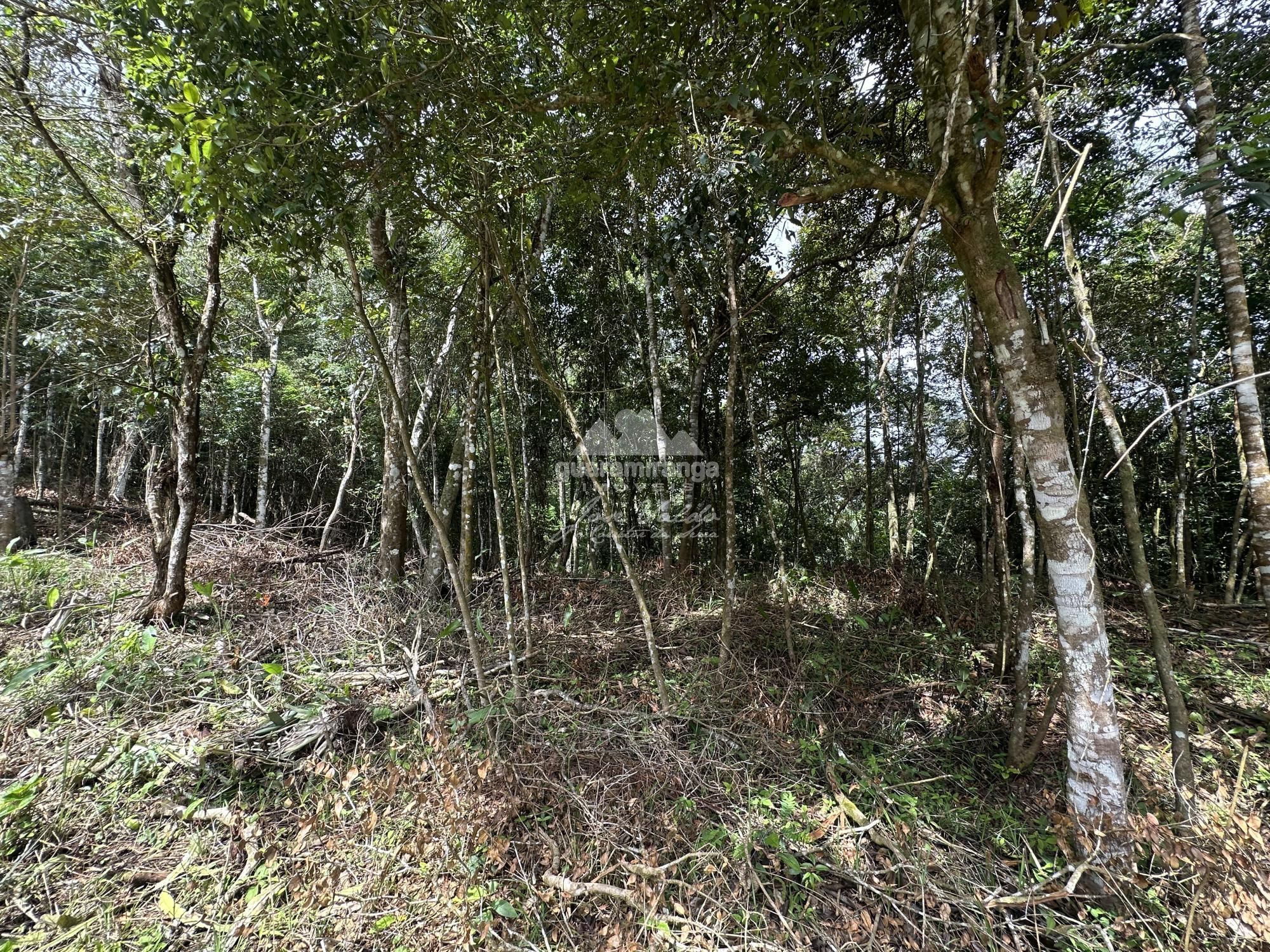 Terreno, 7595 m² - Foto 31