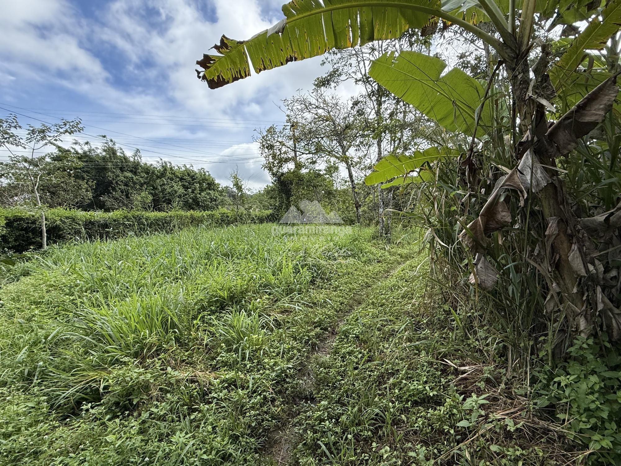 Terreno/Lote à venda  no Agua boa - Guaramiranga, CE. Imóveis