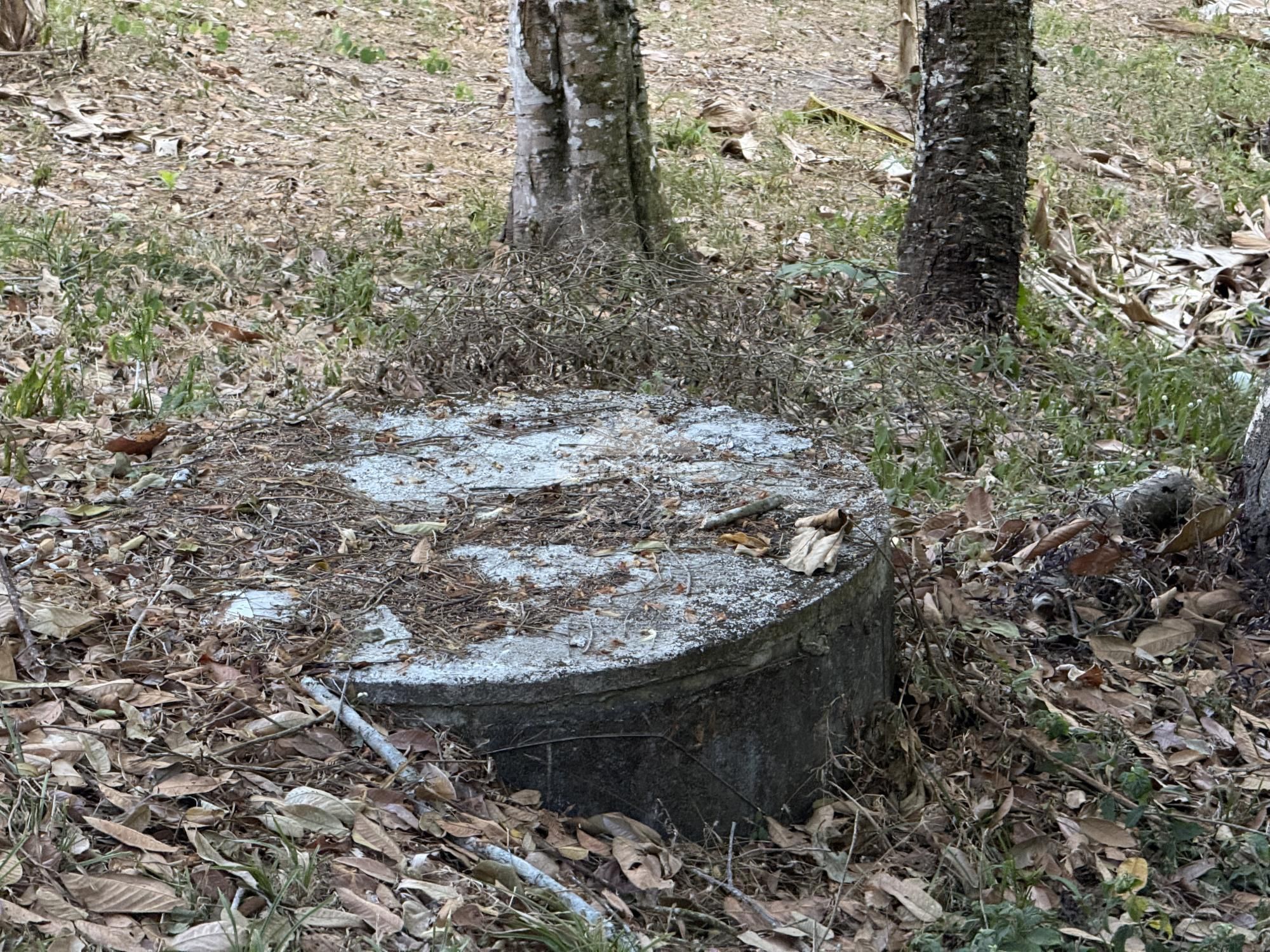 Chácara, 8 quartos, 2 hectares - Foto 43