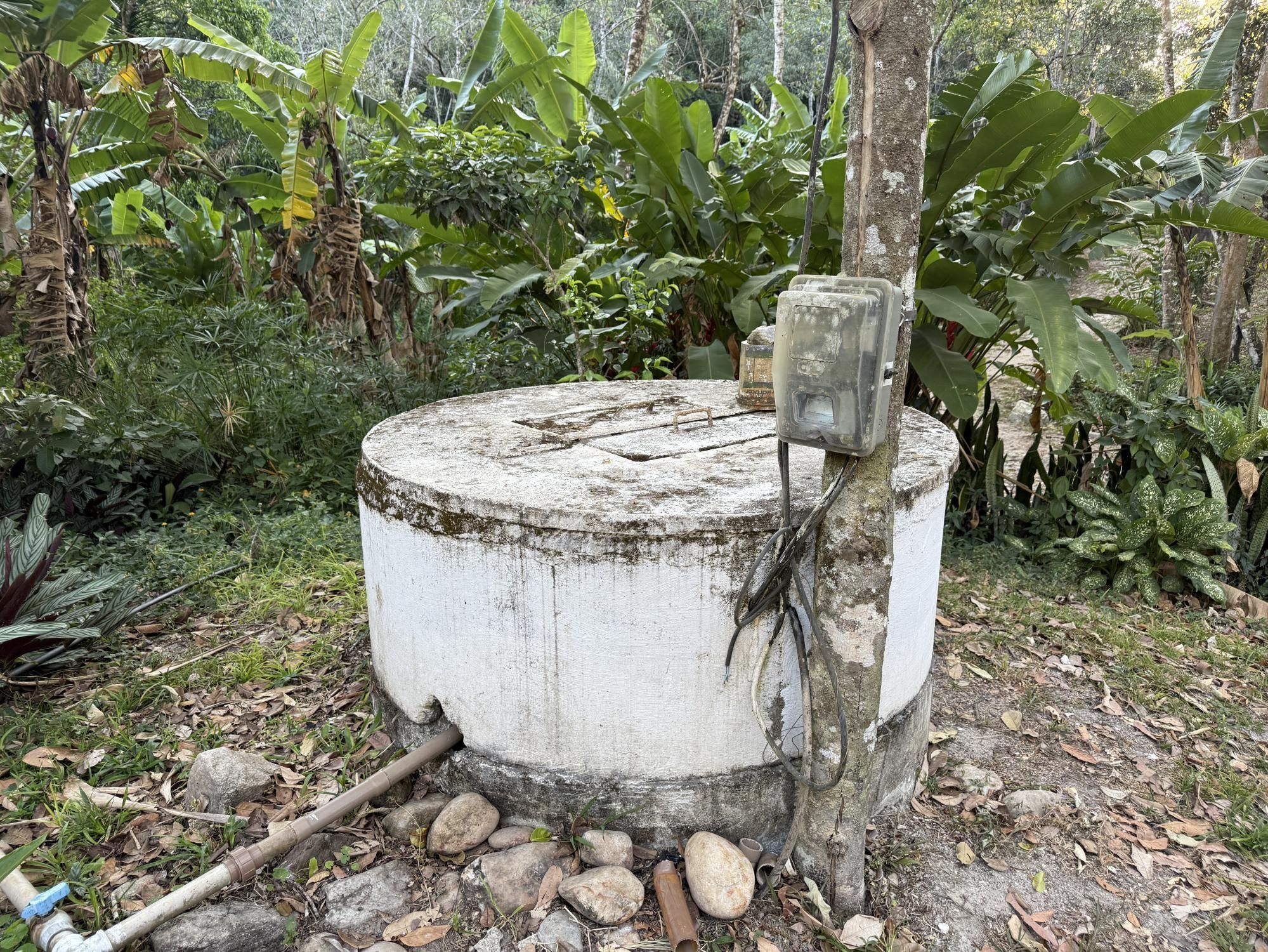 Chácara, 8 quartos, 2 hectares - Foto 42