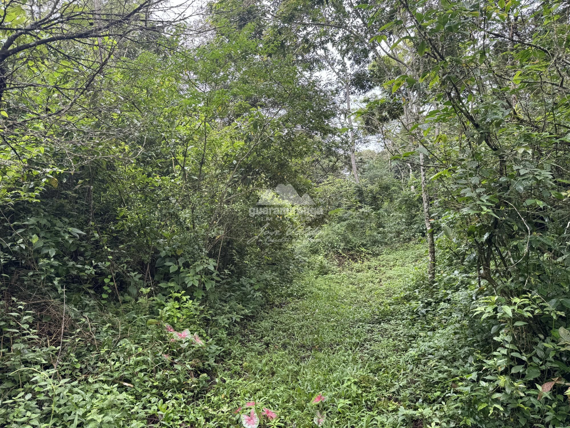 Terreno, 7675 m² - Foto 12