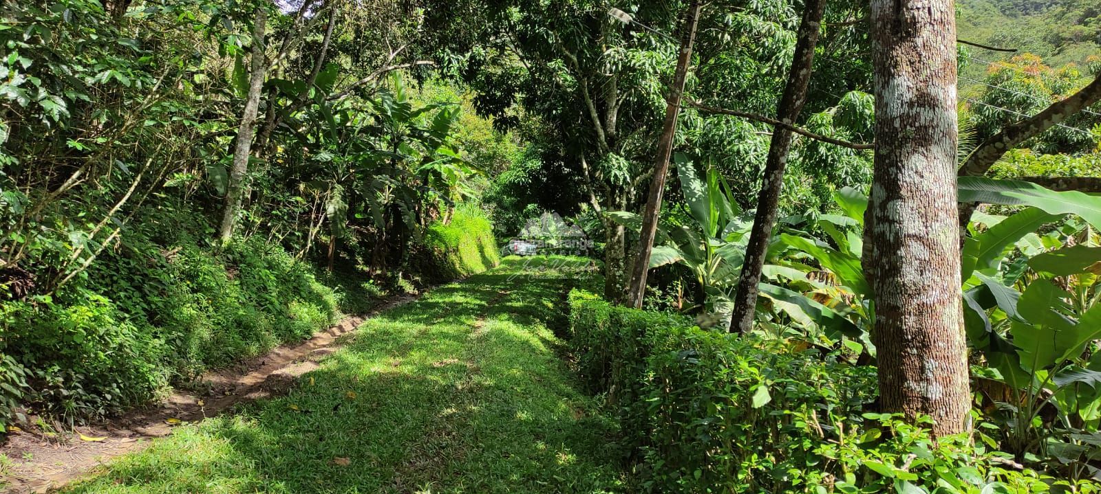 Sítio, 12 quartos, 60 hectares - Foto 18