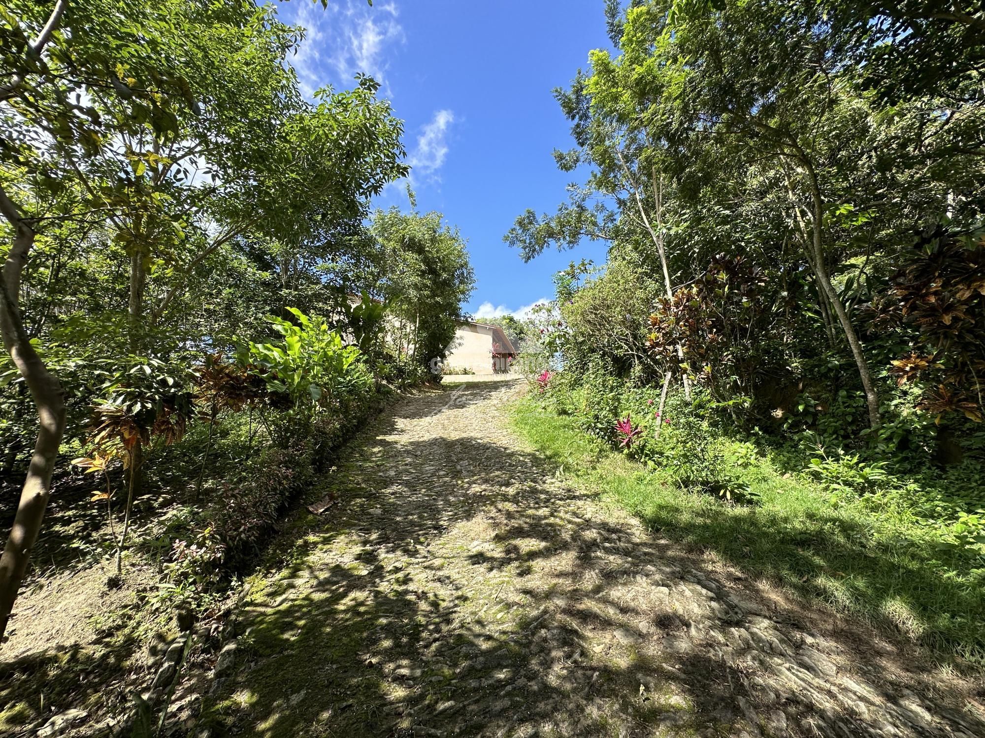 Sítio, 4 quartos, 22 hectares - Foto 38