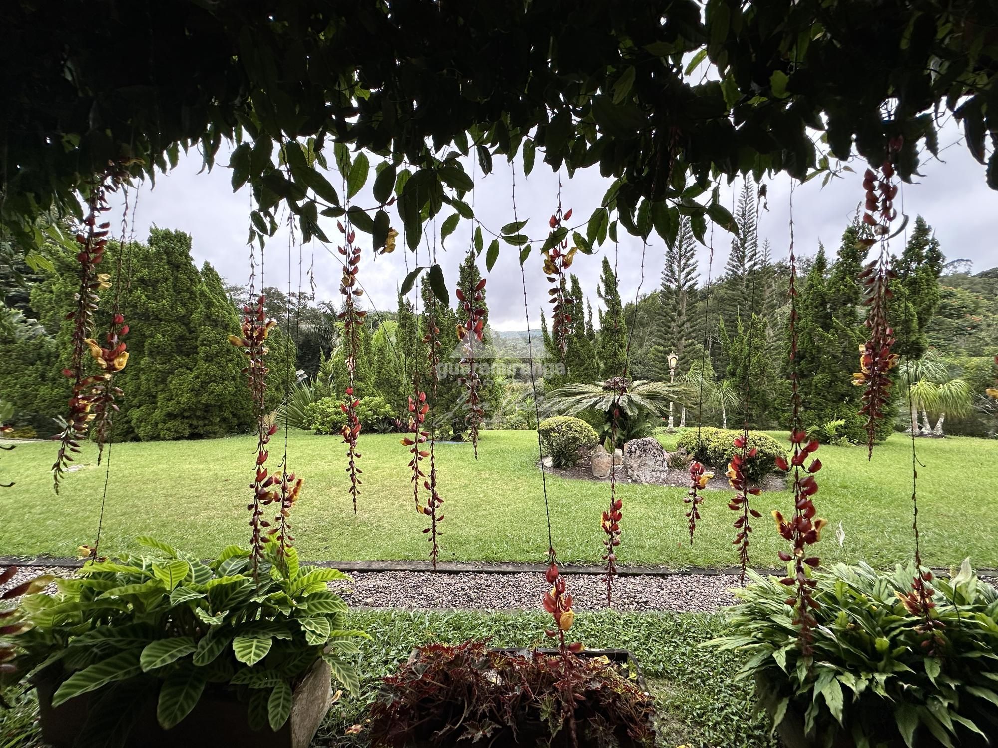 Sítio à venda com 6 quartos, 30000m² - Foto 13