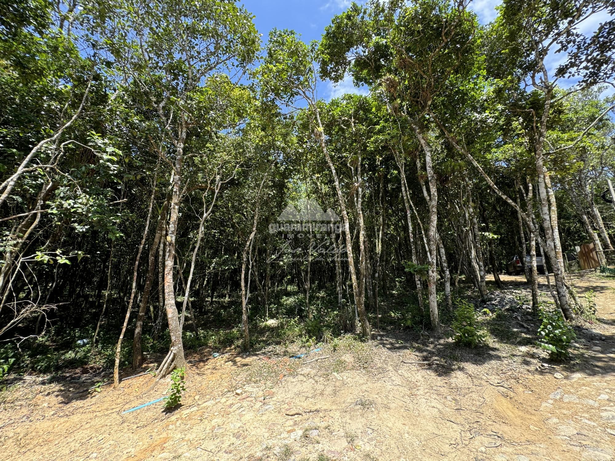 Casa de Condomínio à venda com 3 quartos, 390m² - Foto 55