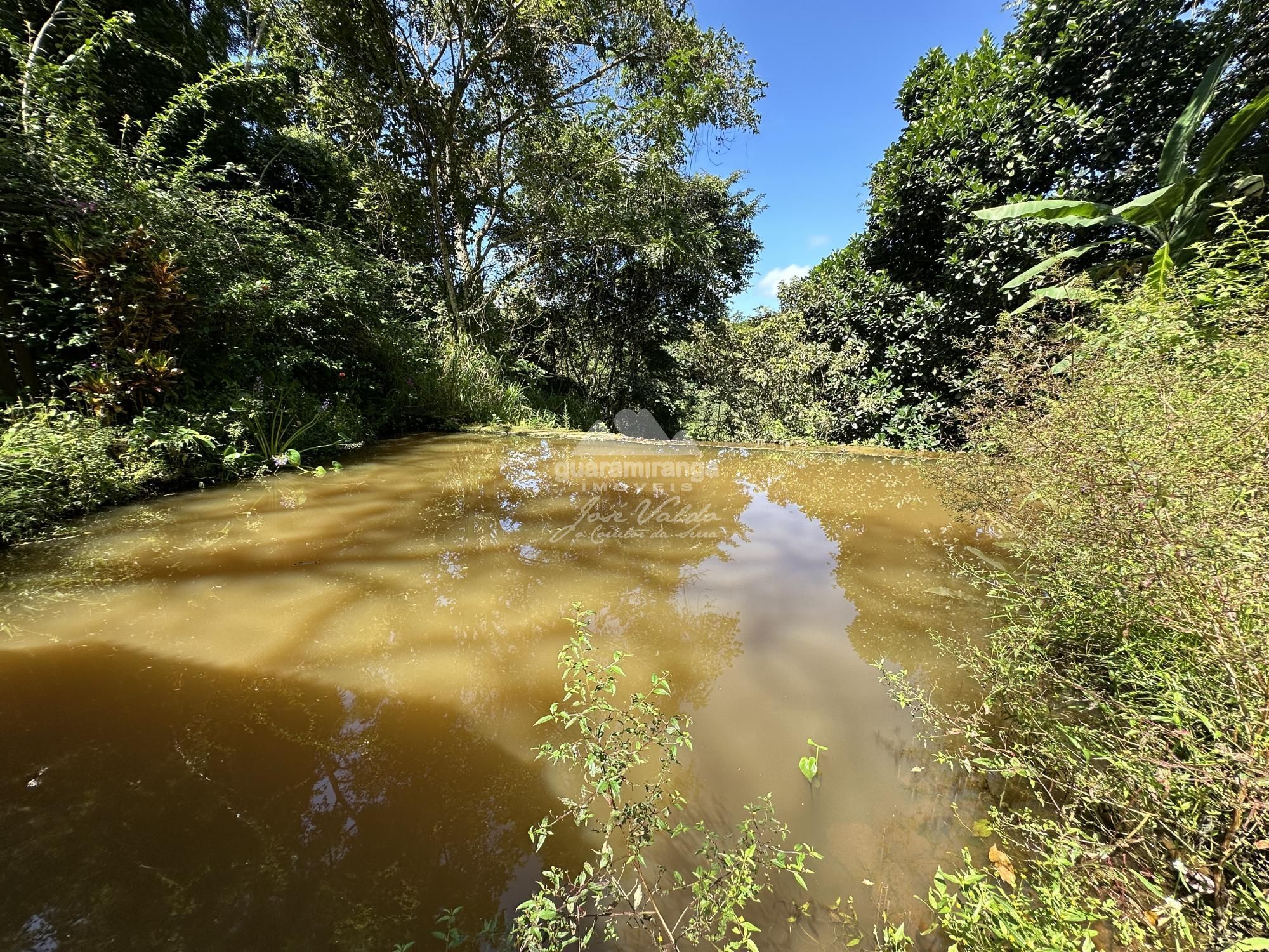 Sítio, 4 quartos, 22 hectares - Foto 29