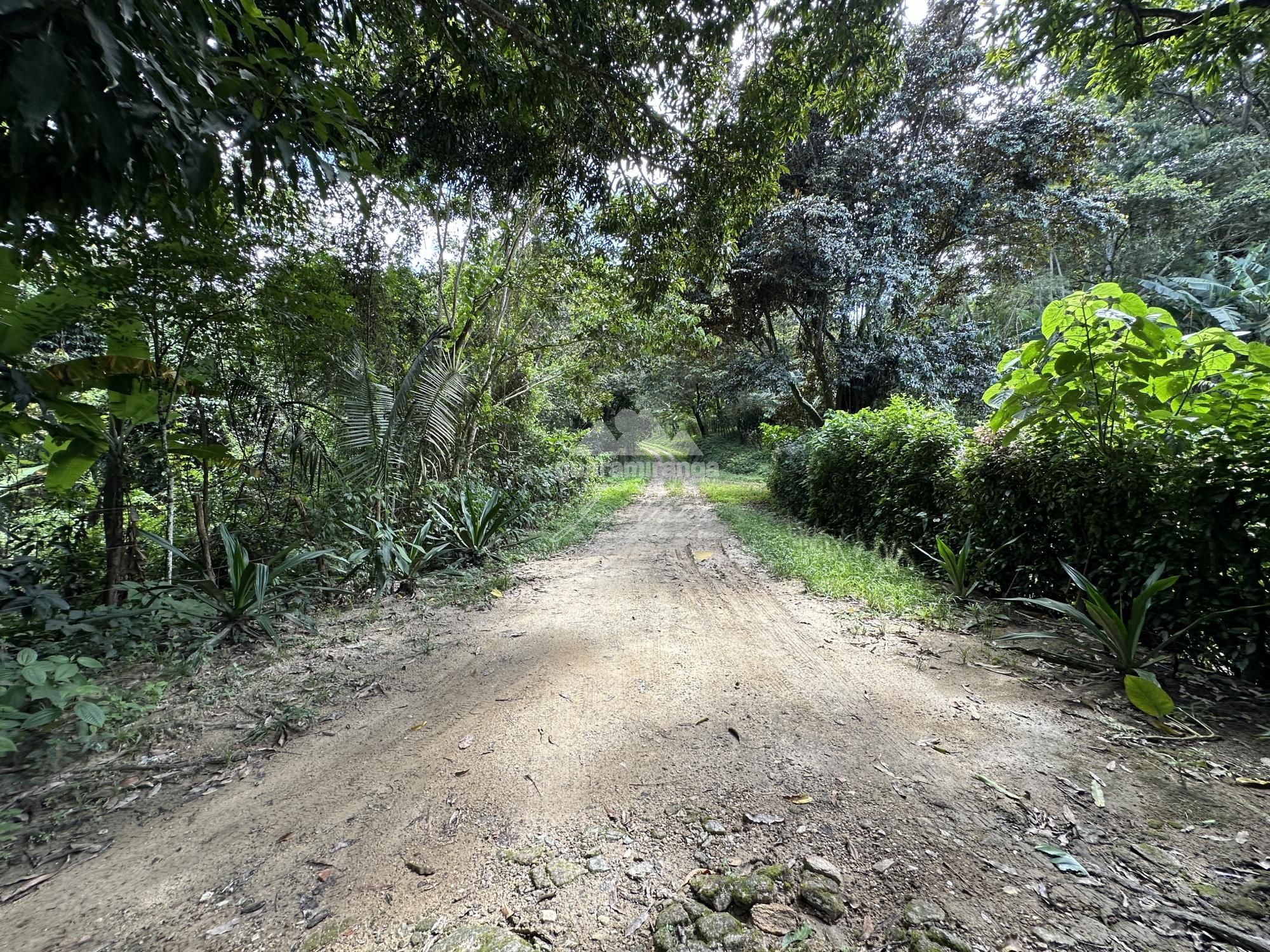 Sítio, 4 quartos, 22 hectares - Foto 36