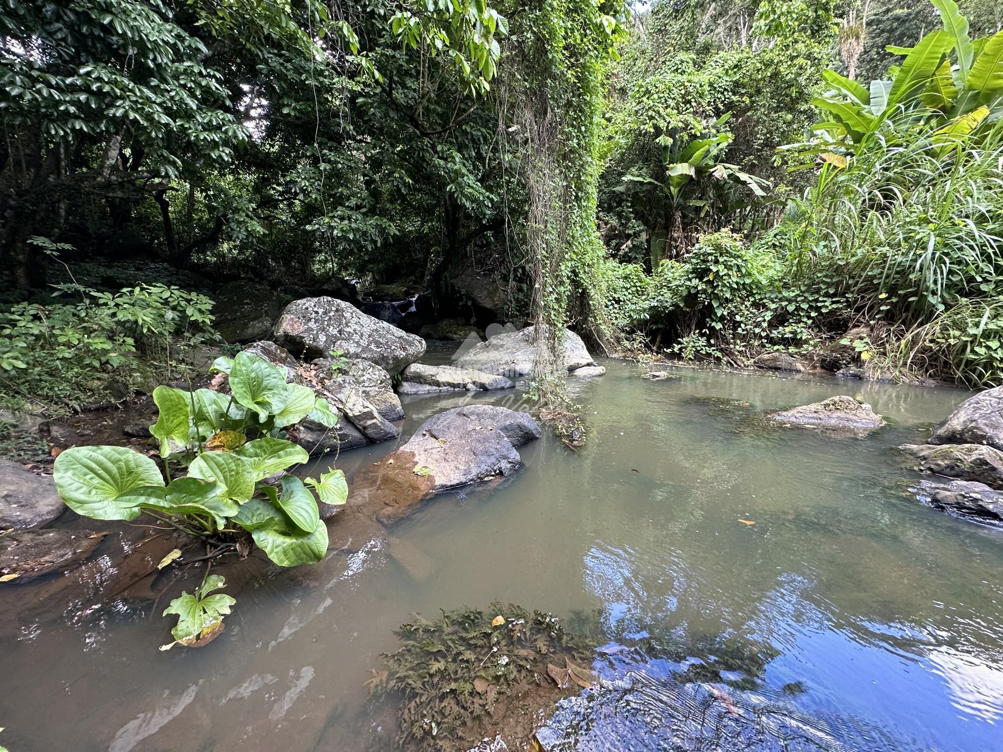 Sítio, 2 quartos, 20 hectares - Foto 27