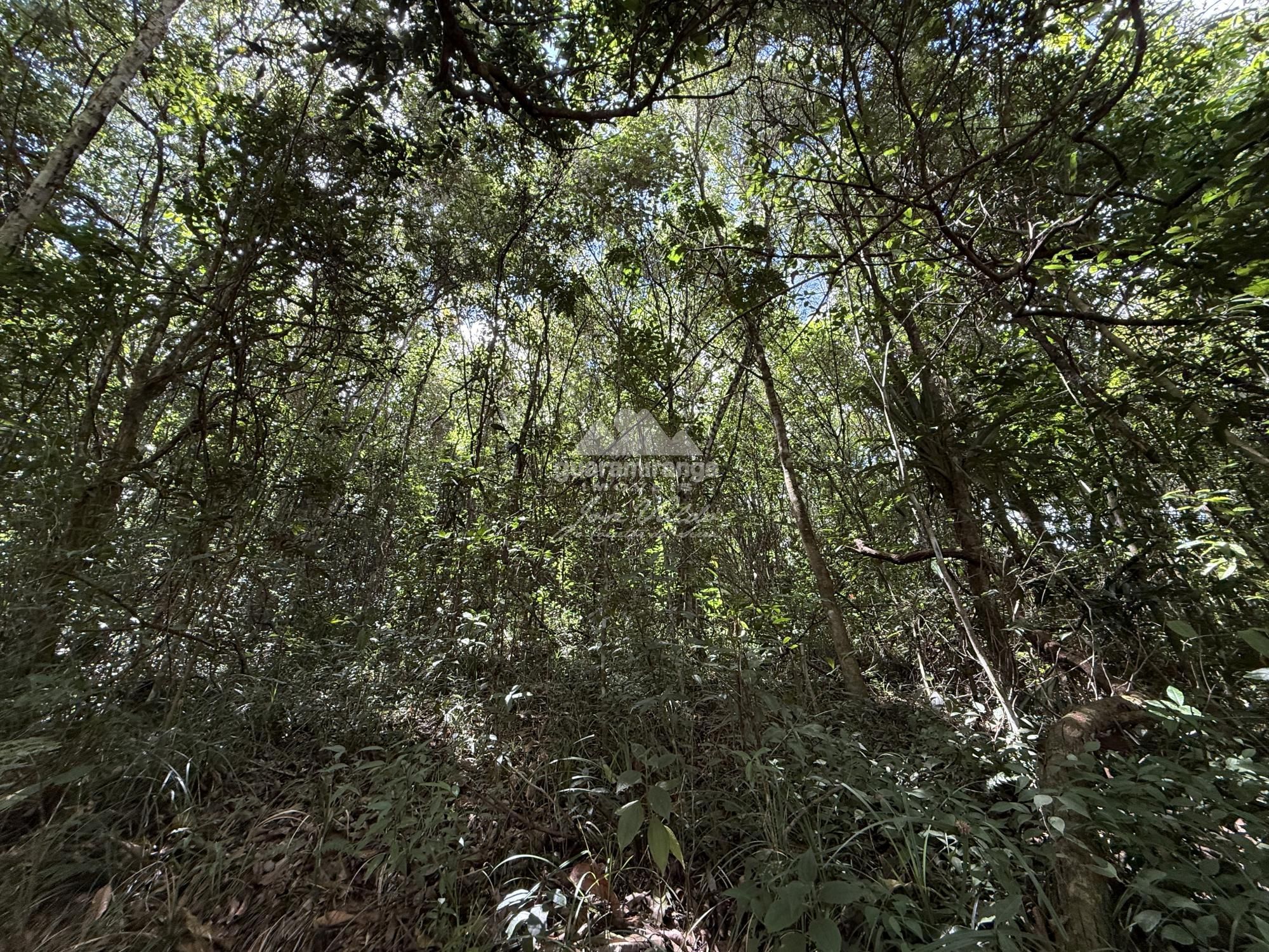 Terreno, 72 m² - Foto 8