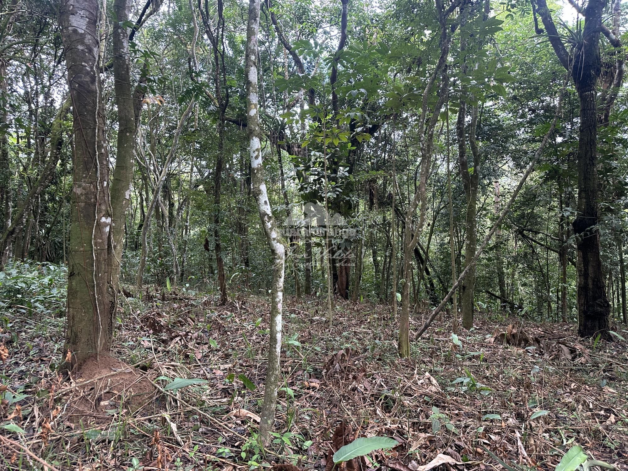 Terreno, 7595 m² - Foto 17