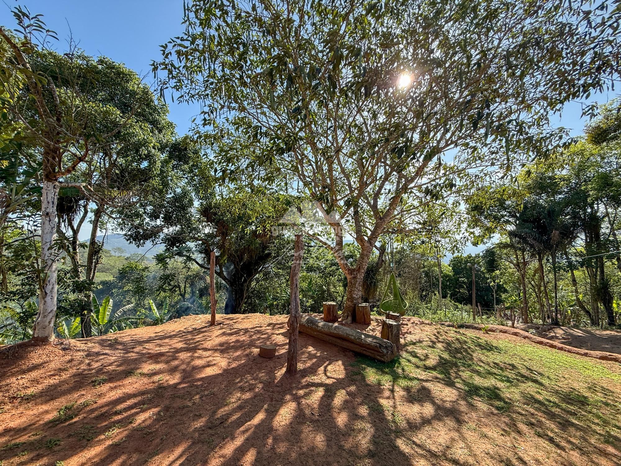 Chácara, 3 quartos, 5 hectares - Foto 12