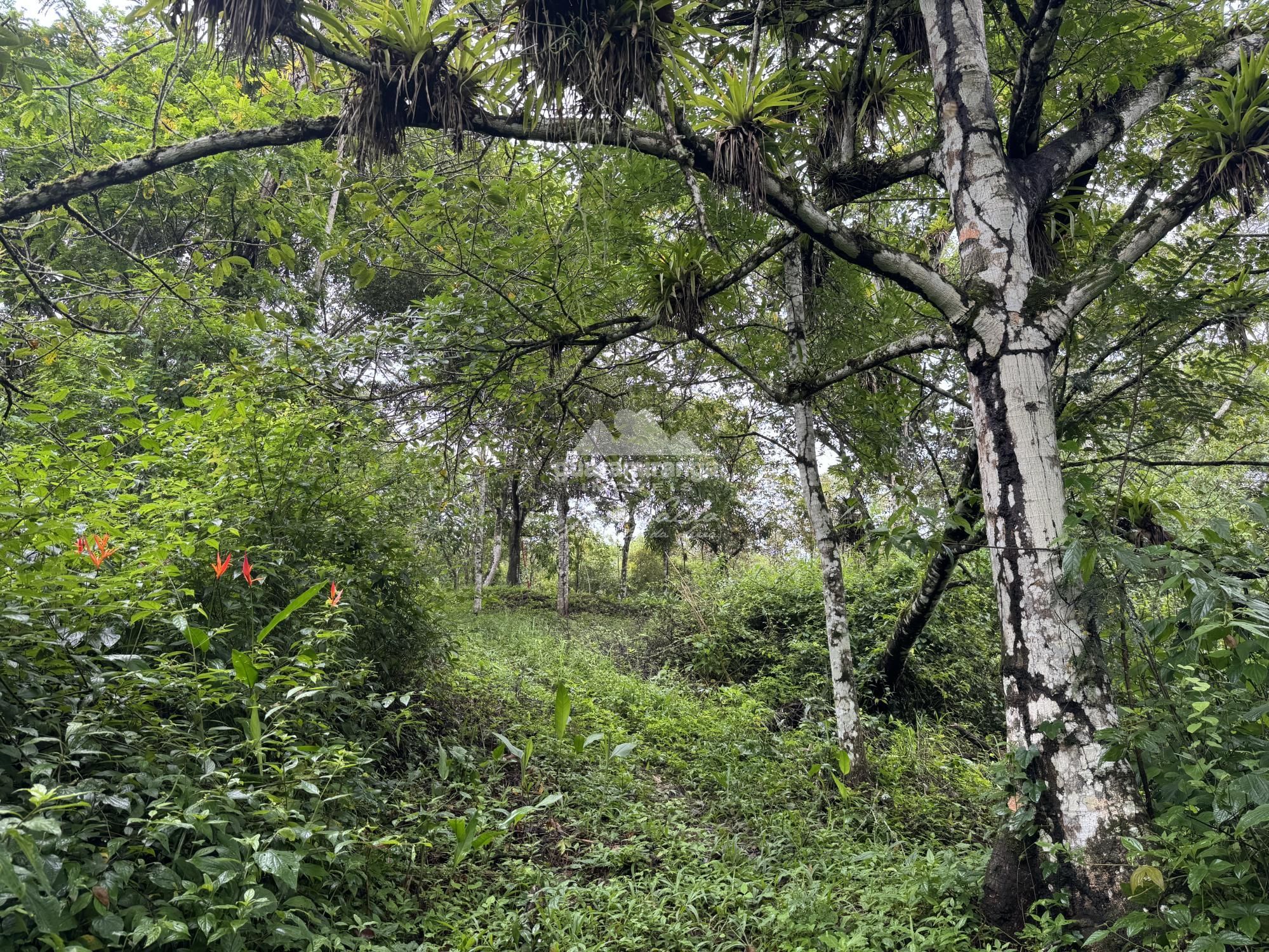 Terreno, 7675 m² - Foto 15