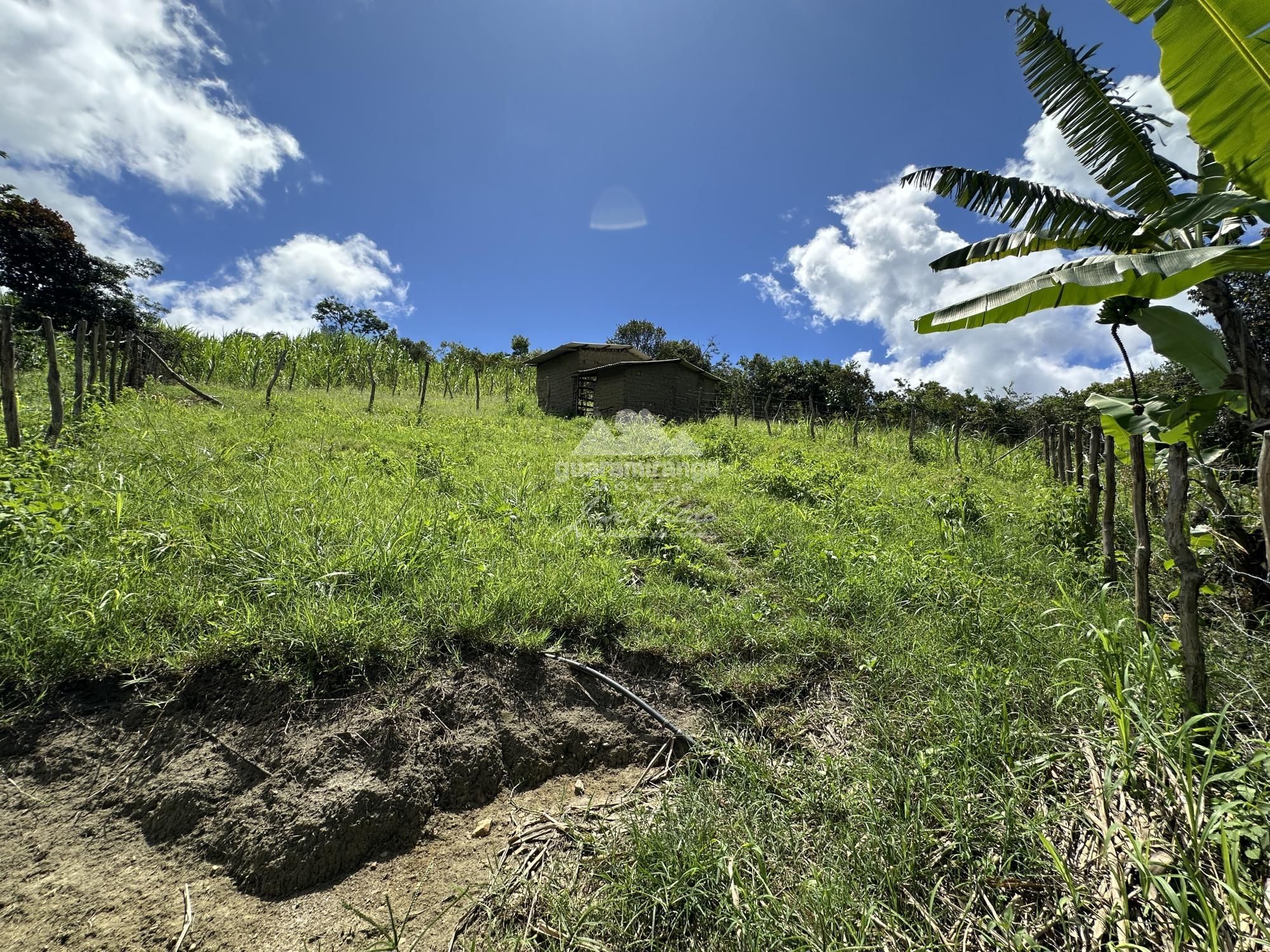 Chácara, 4 quartos, 6000 m² - Foto 40