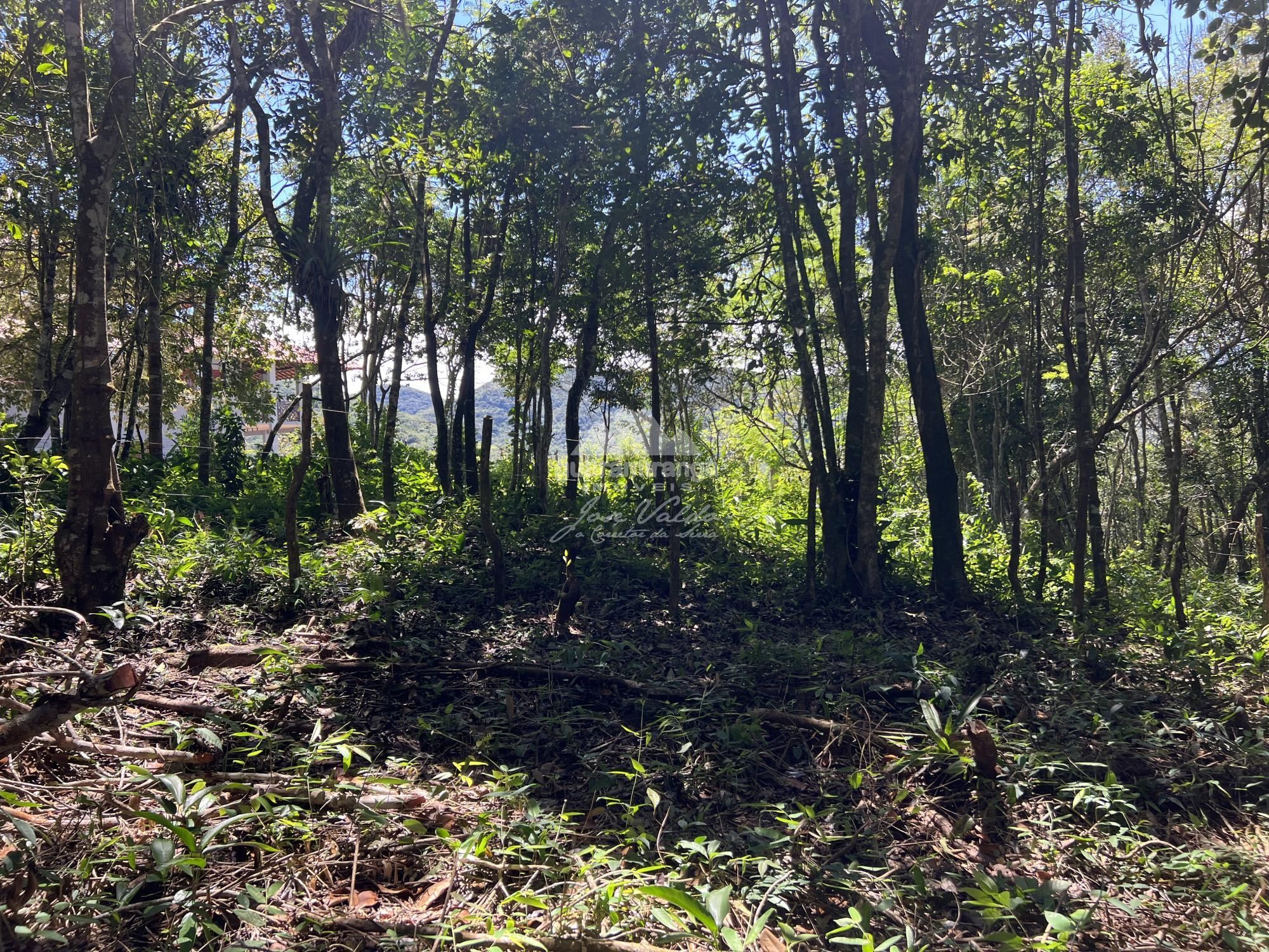Terreno à venda, 1200m² - Foto 1