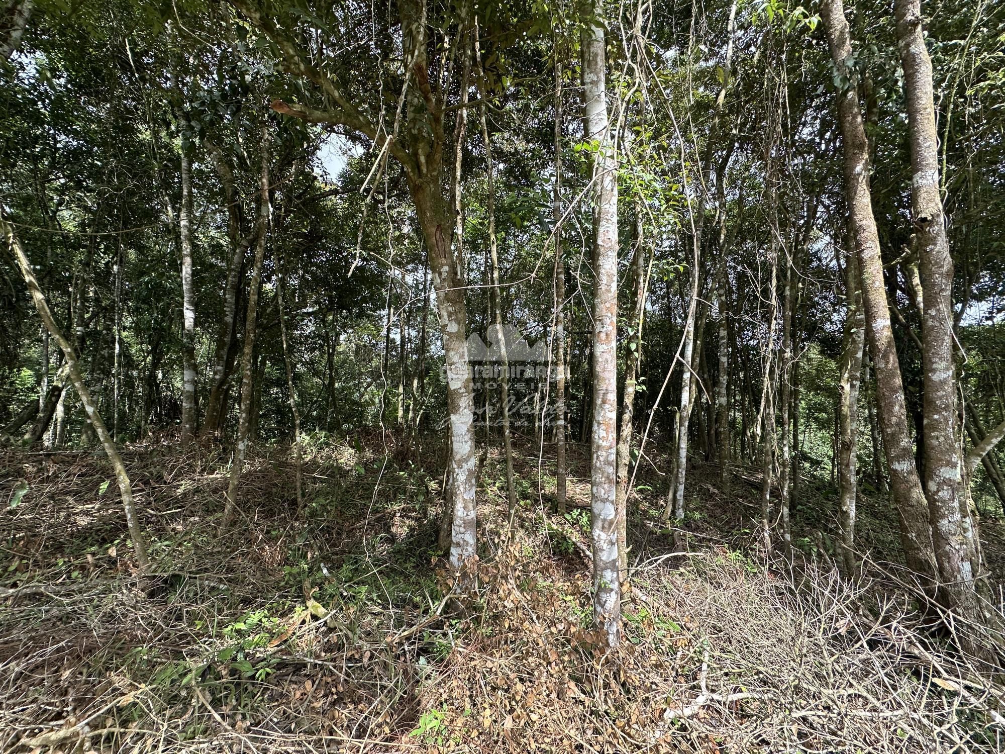 Terreno, 7595 m² - Foto 30