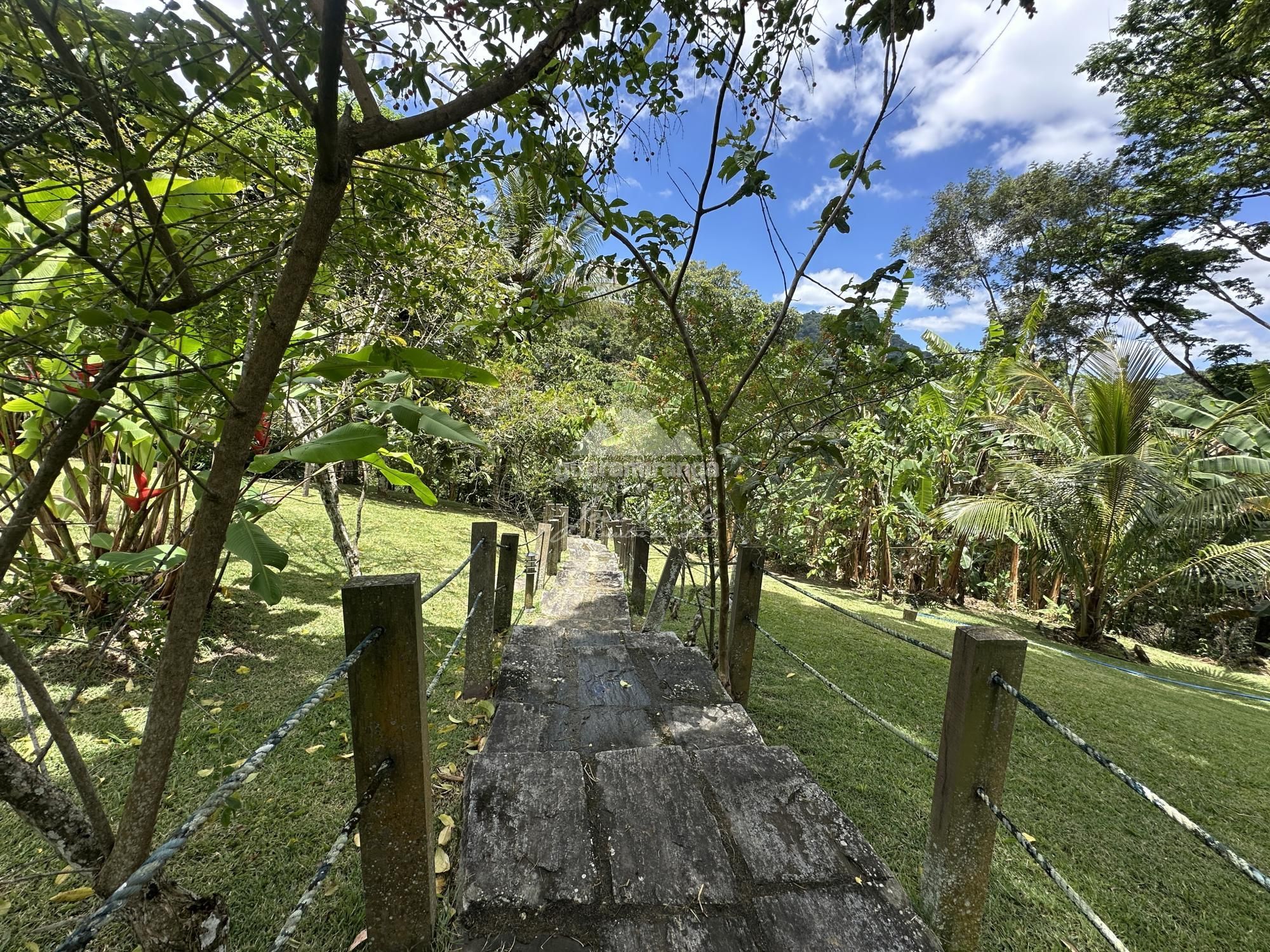 Chácara, 5 quartos, 8 hectares - Foto 20