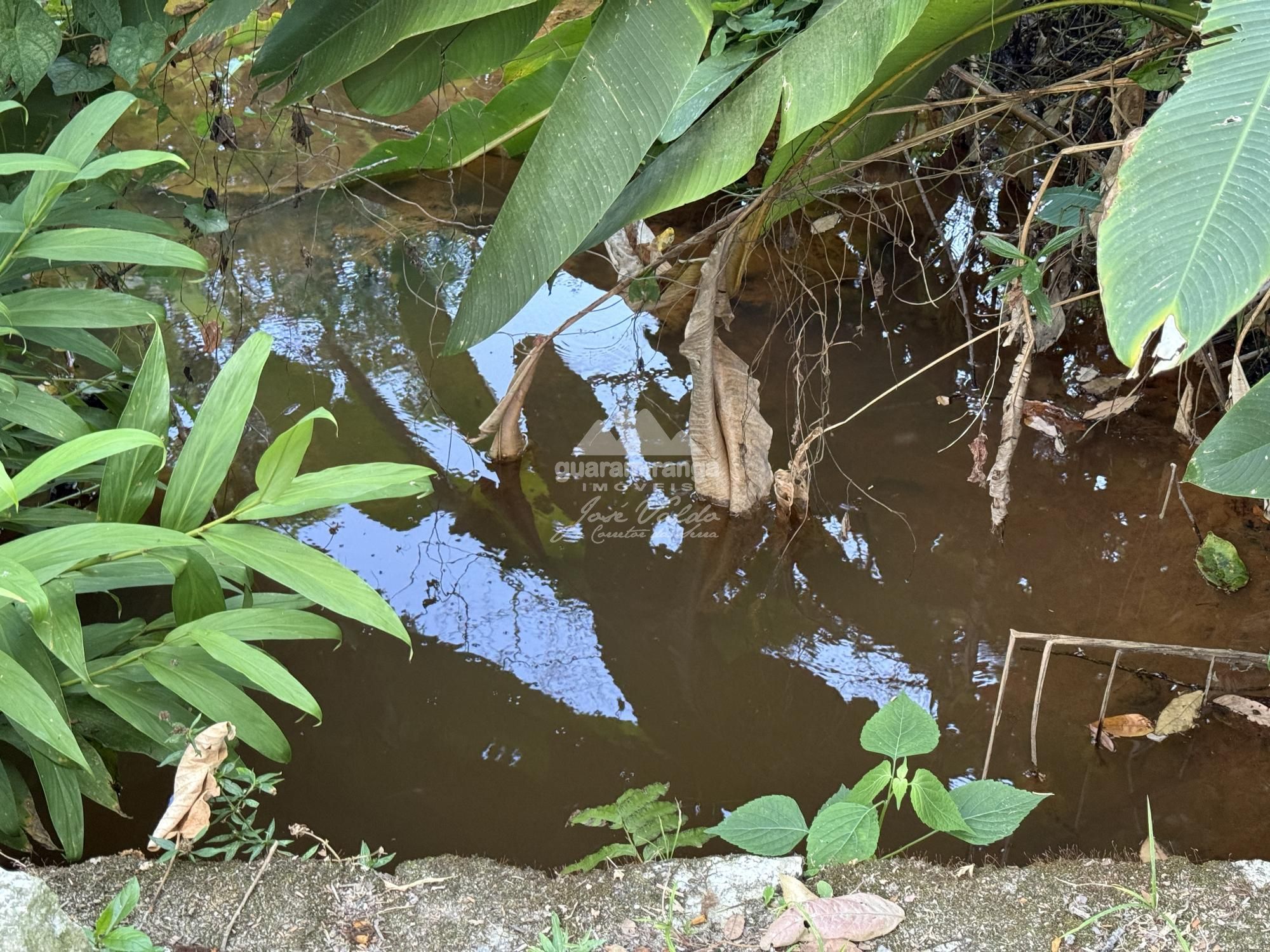 Chácara, 8 quartos, 2 hectares - Foto 40