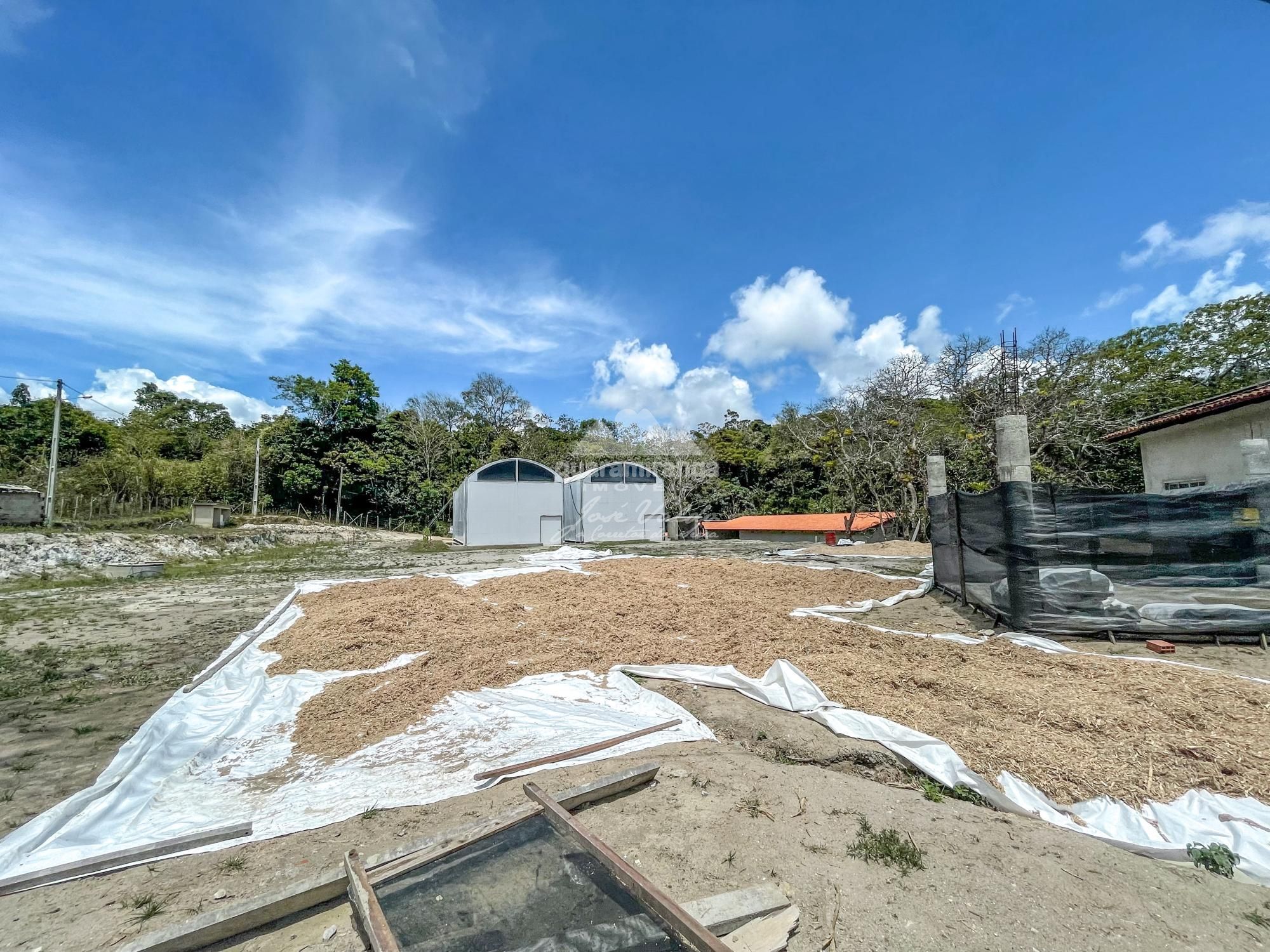 Sítio à venda com 1 quarto, 35000m² - Foto 37