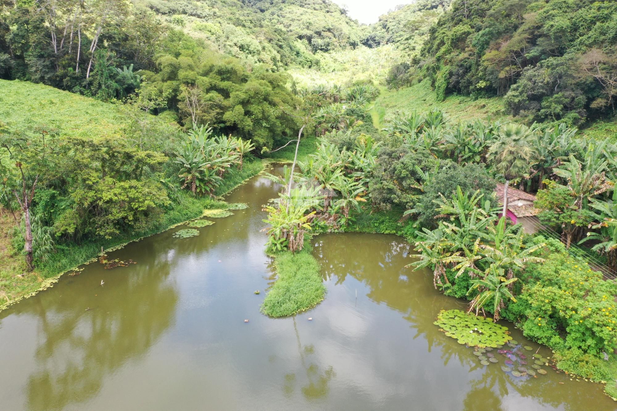 Sítio, 7 quartos, 31 hectares - Foto 15