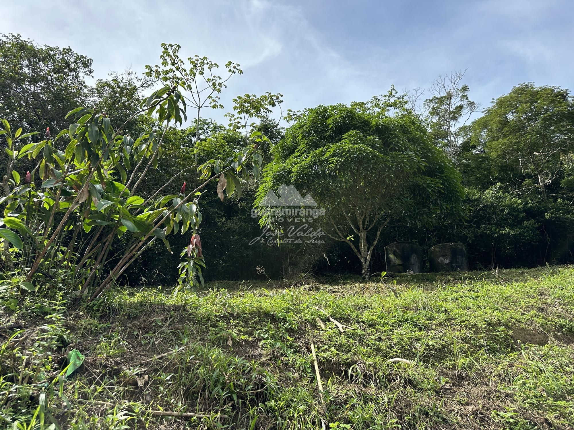 Sítio à venda com 2 quartos, 20000m² - Foto 31