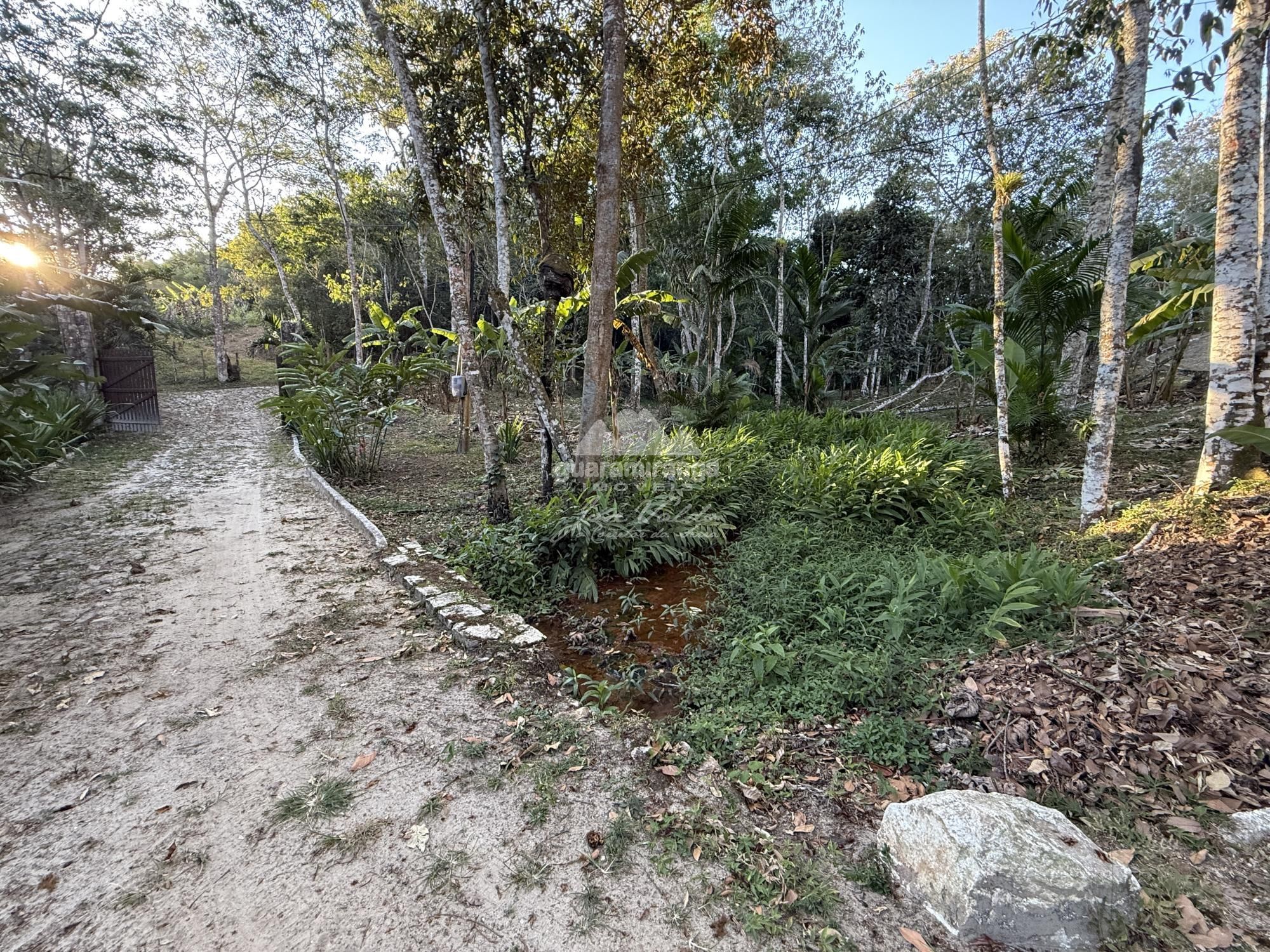 Chácara, 8 quartos, 2 hectares - Foto 35