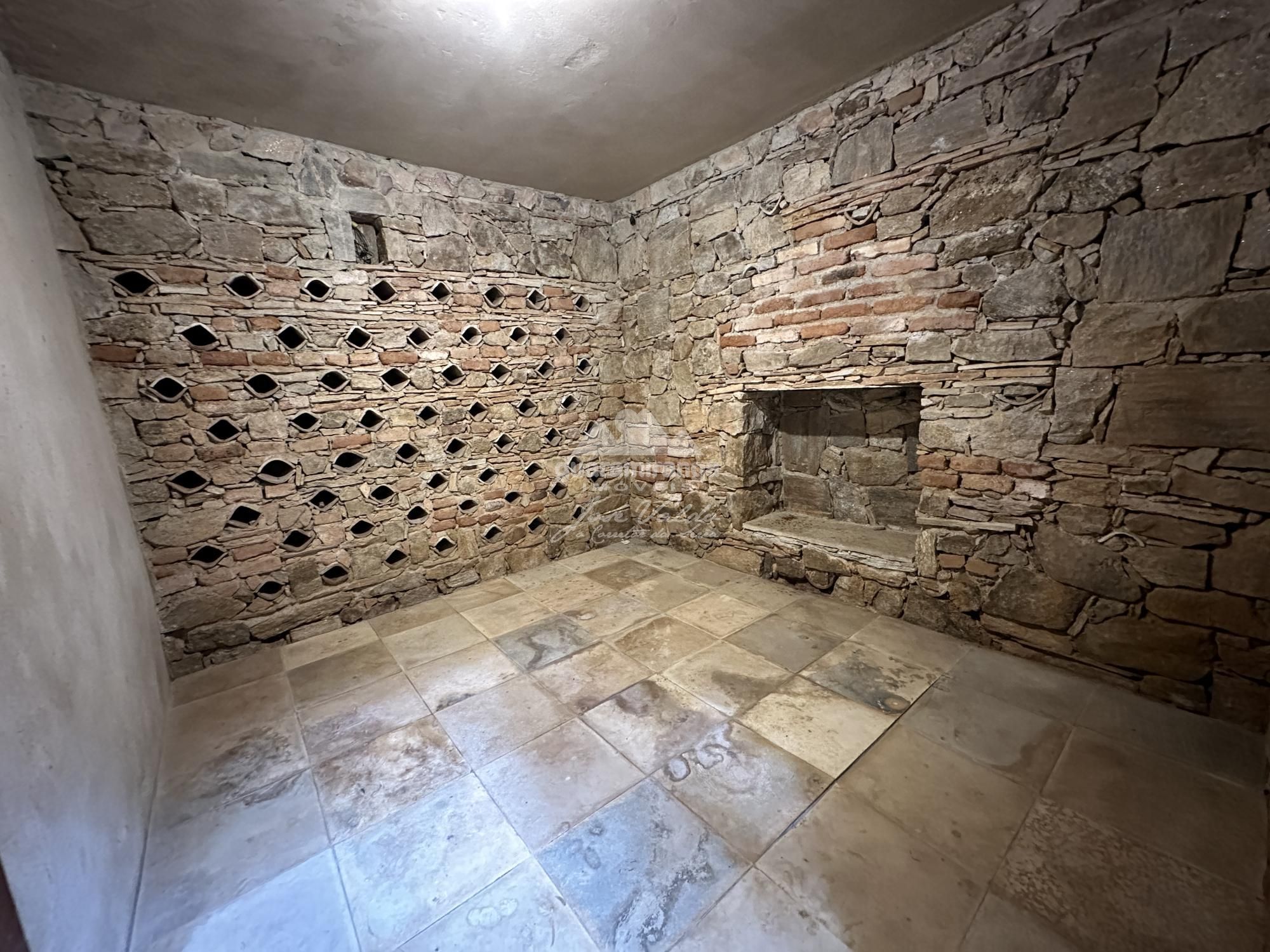 Sítio, 4 quartos, 4 hectares - Foto 40