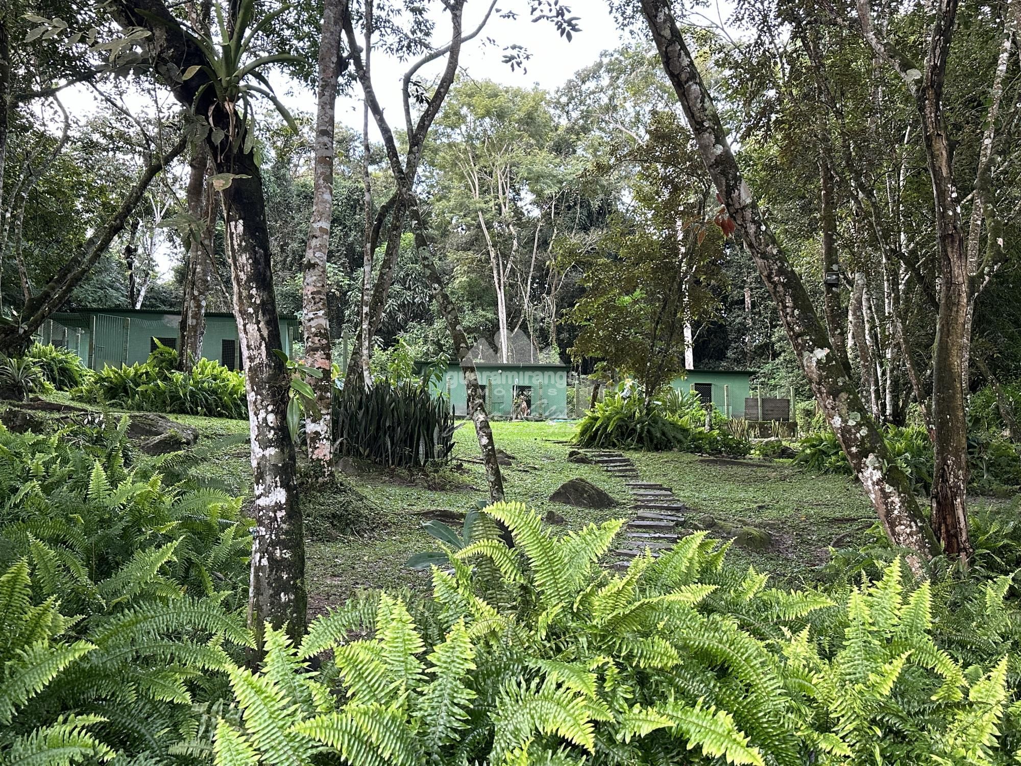 Sítio à venda com 6 quartos, 30000m² - Foto 66