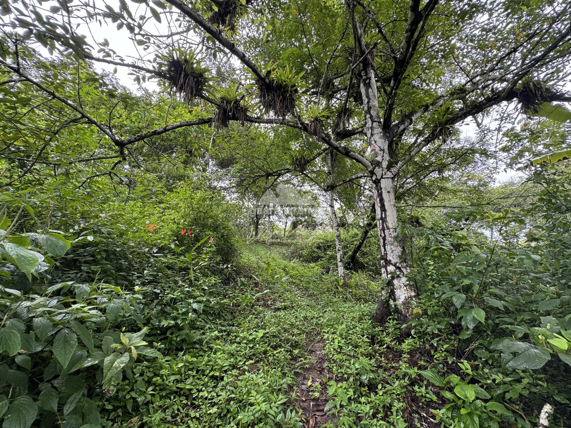 Terreno, 7675 m² - Foto 16