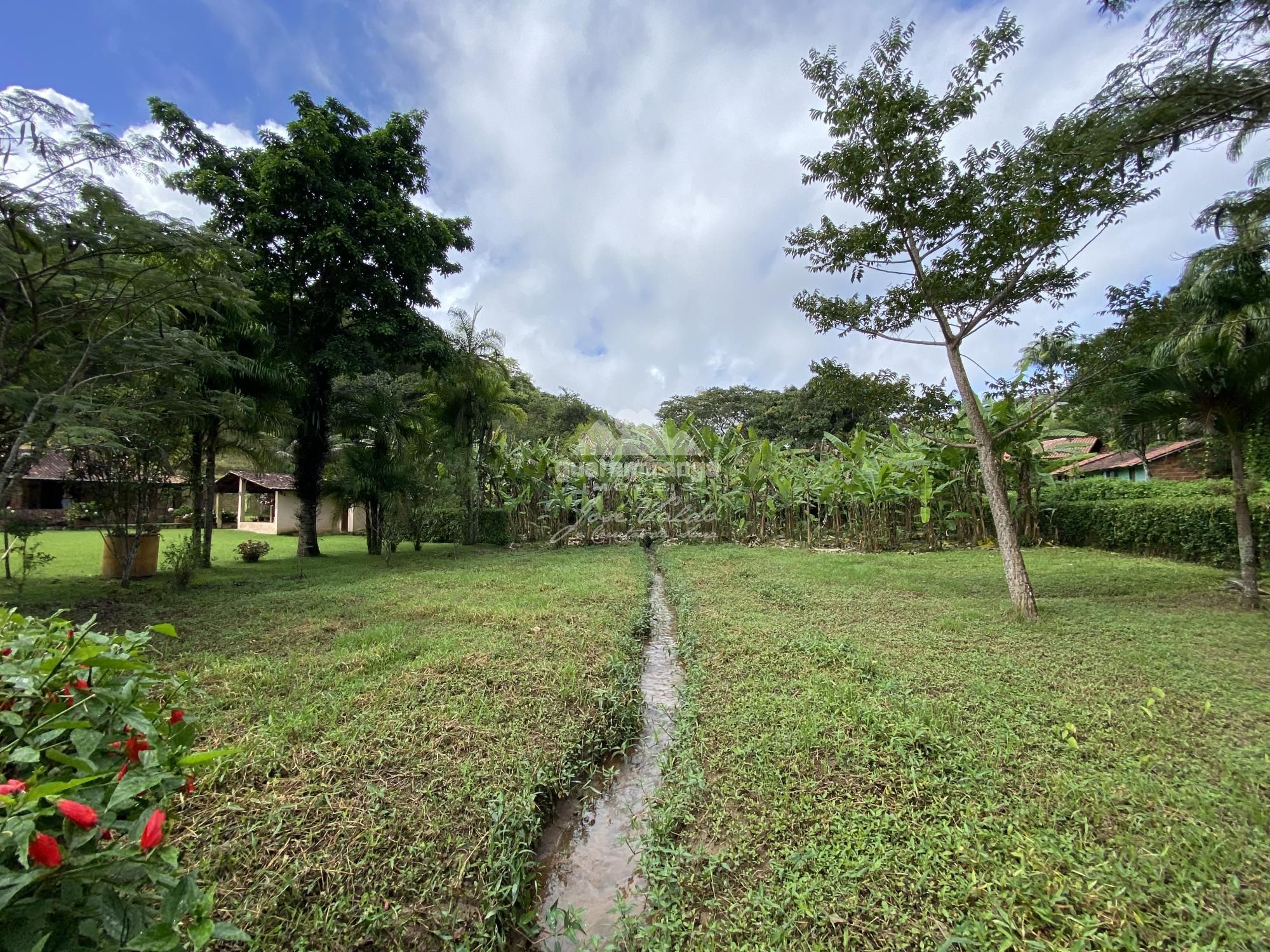 Sítio à venda com 5 quartos, 5624m² - Foto 53