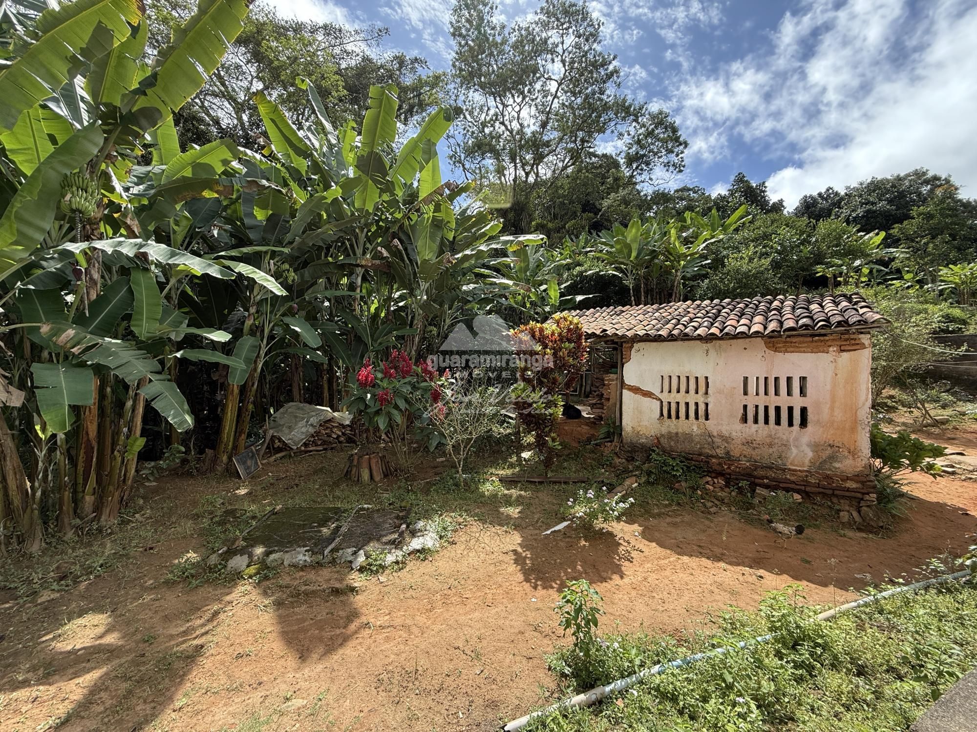 Sítio à venda com 6 quartos, 30000m² - Foto 15