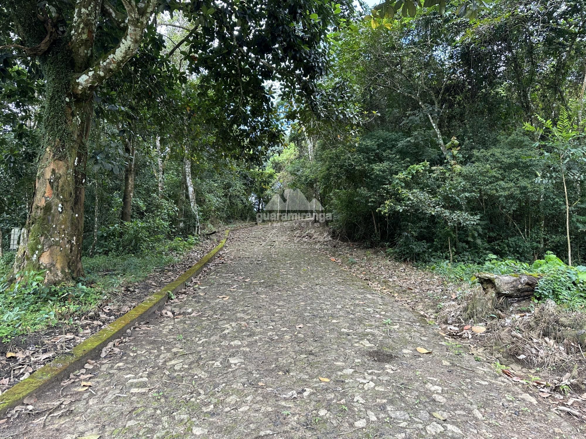 Sítio, 2 quartos, 20 hectares - Foto 12