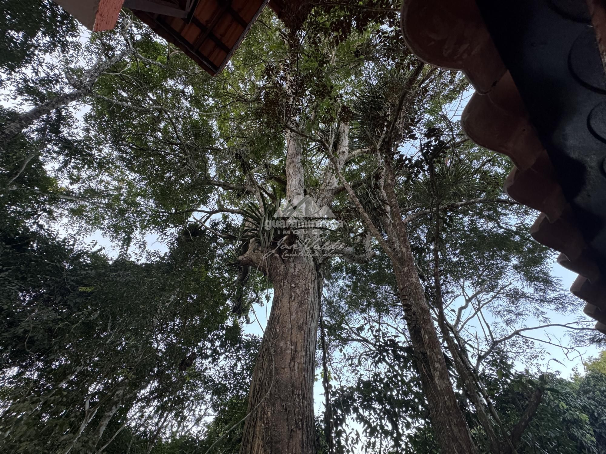 Chácara à venda com 3 quartos, 400m² - Foto 15