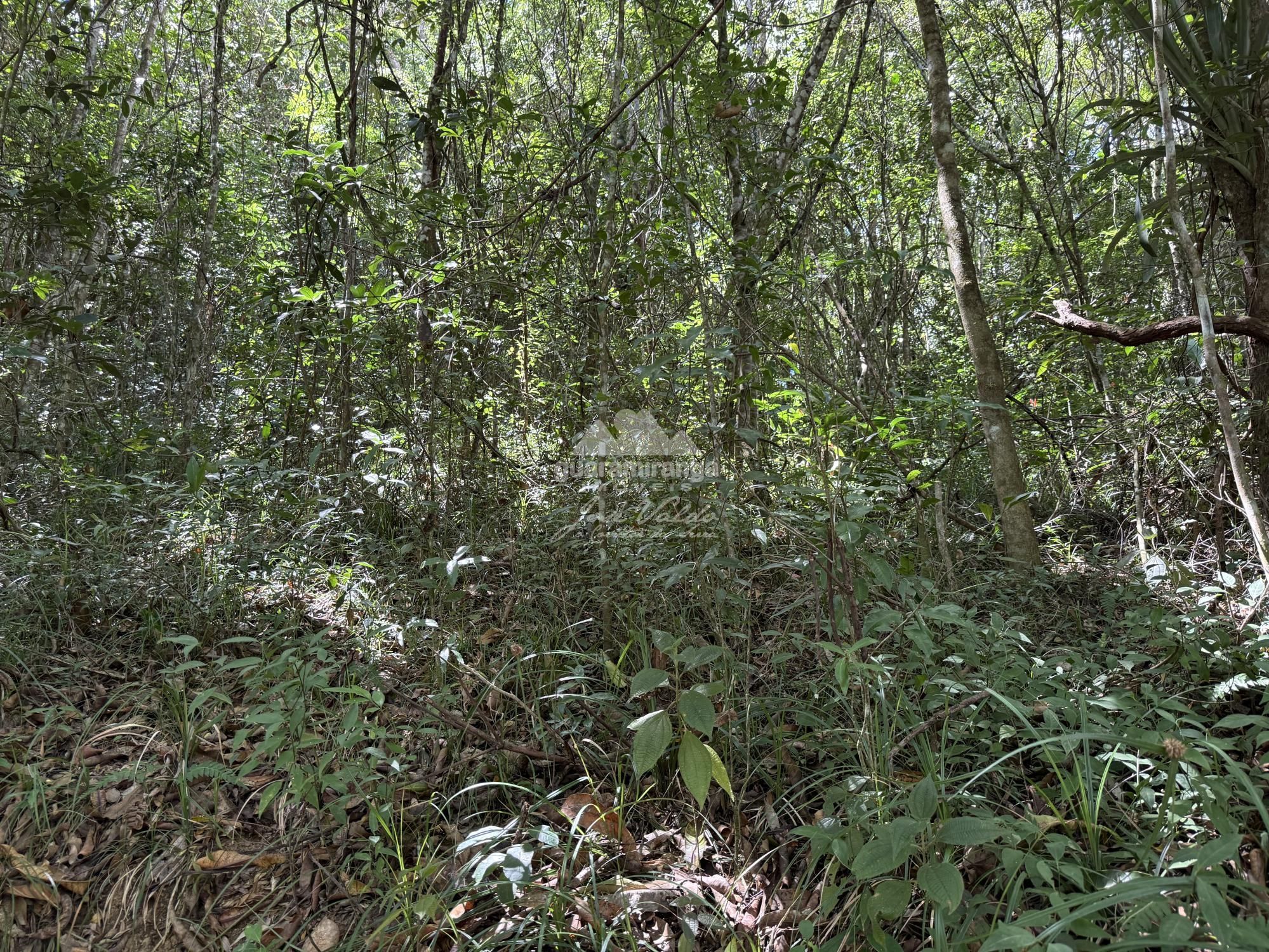 Terreno, 72 m² - Foto 6