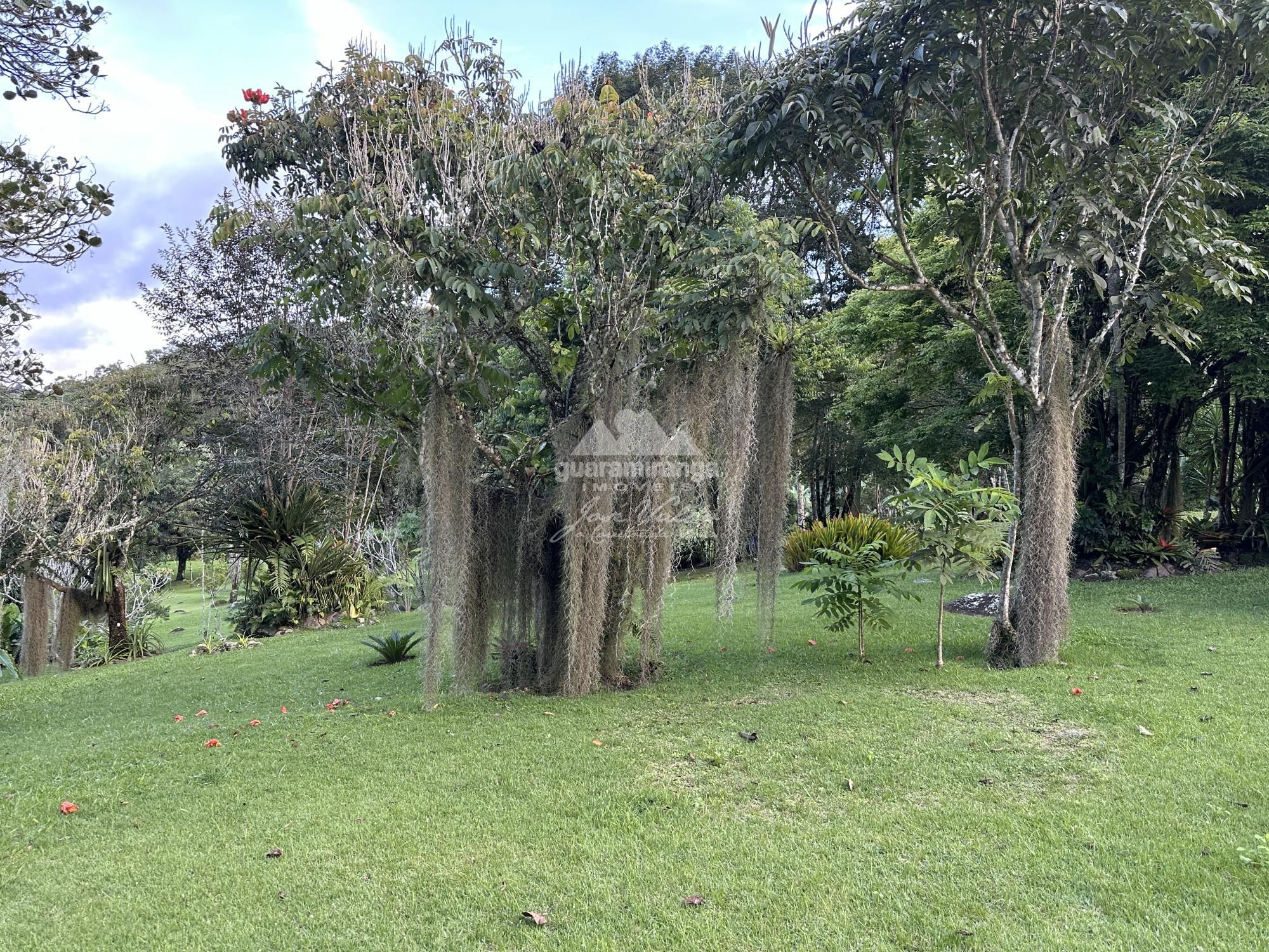 Sítio à venda com 6 quartos, 30000m² - Foto 68