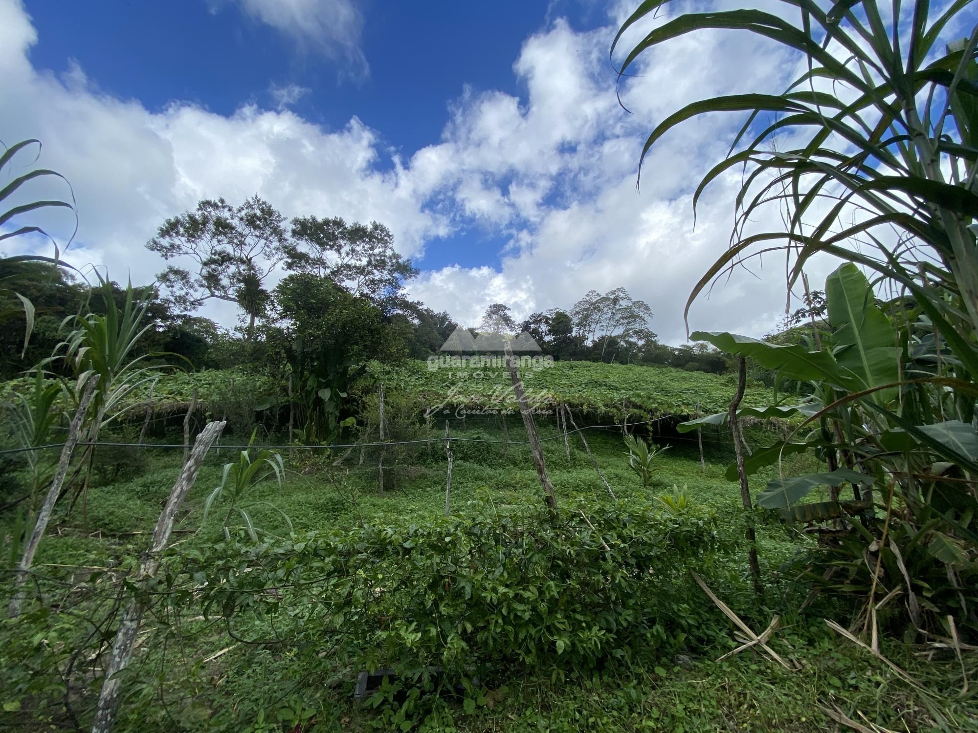 Sítio, 7 quartos, 31 hectares - Foto 42