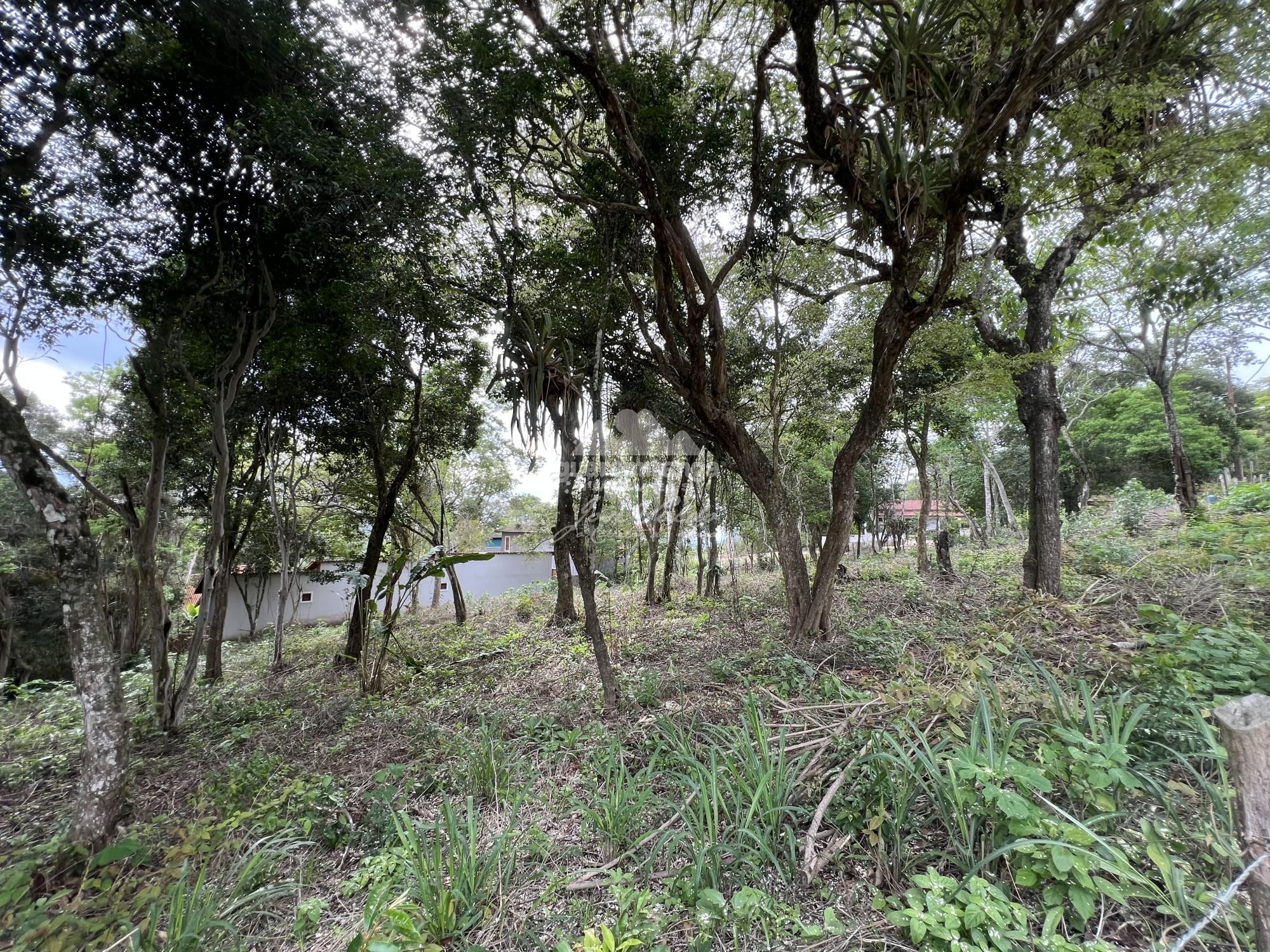 Terreno, 1600 m² - Foto 12